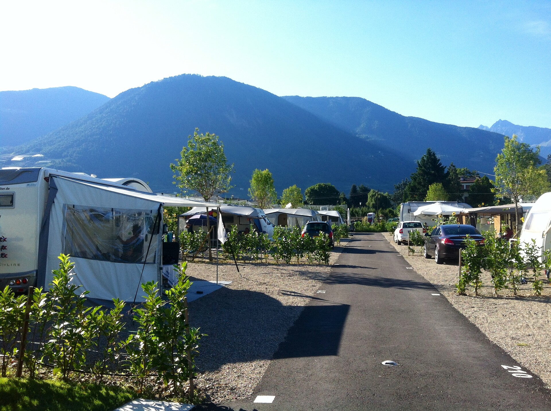 Piazzole