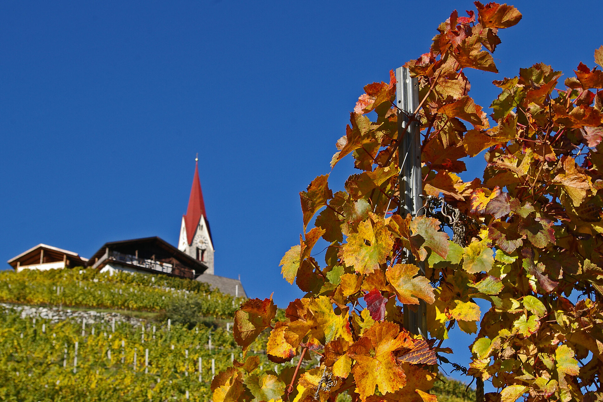 Schrotthof