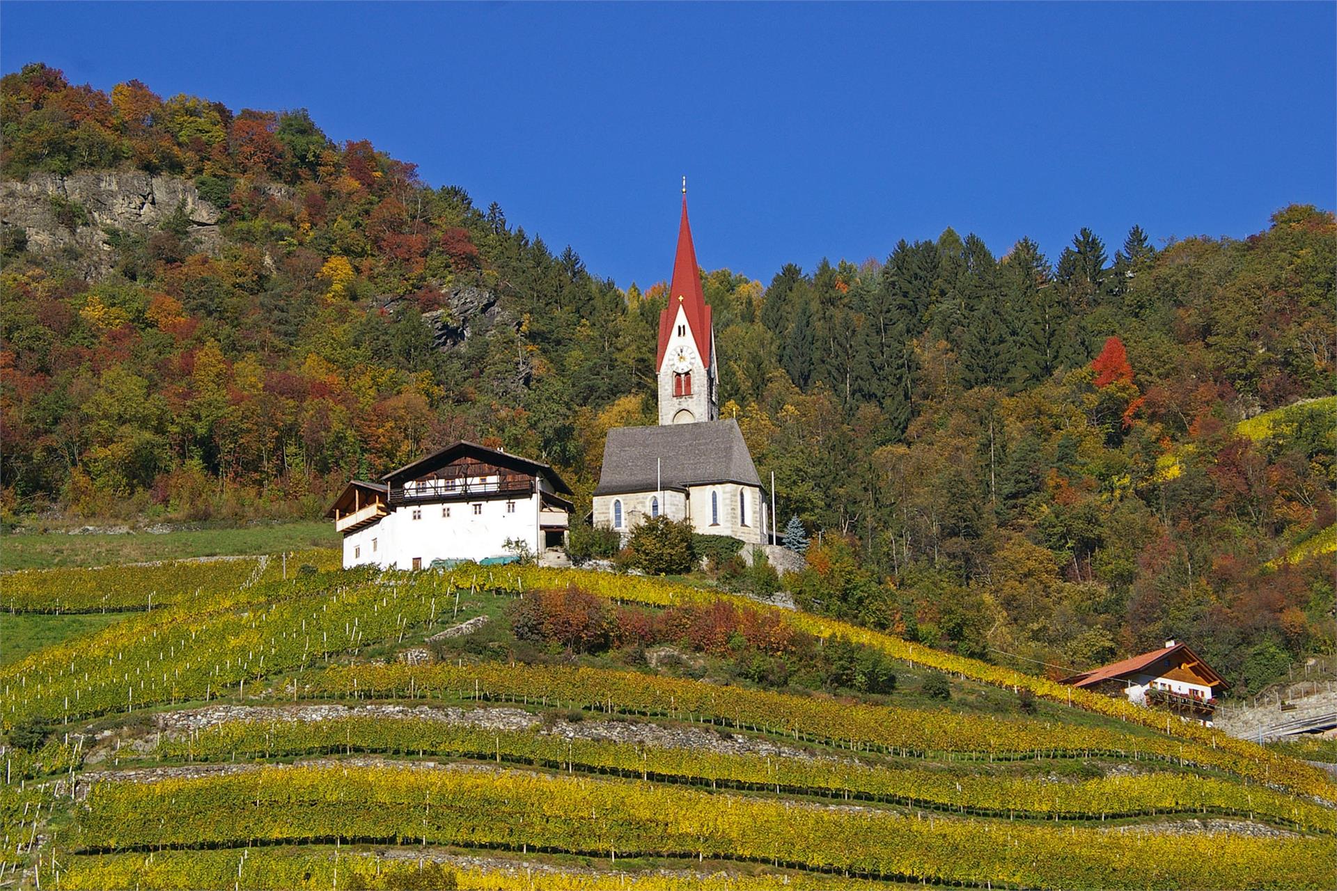 Schrotthof/Maso Schrott Feldthurns/Velturno 16 suedtirol.info