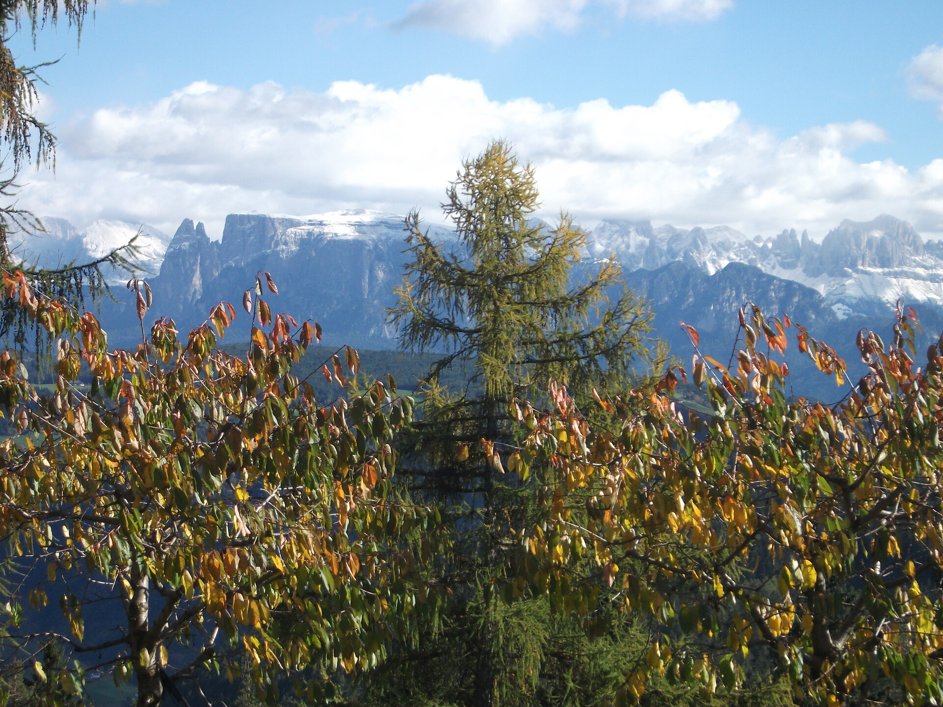 Stücklhof mit Blick auf Schlern /Dolmiten