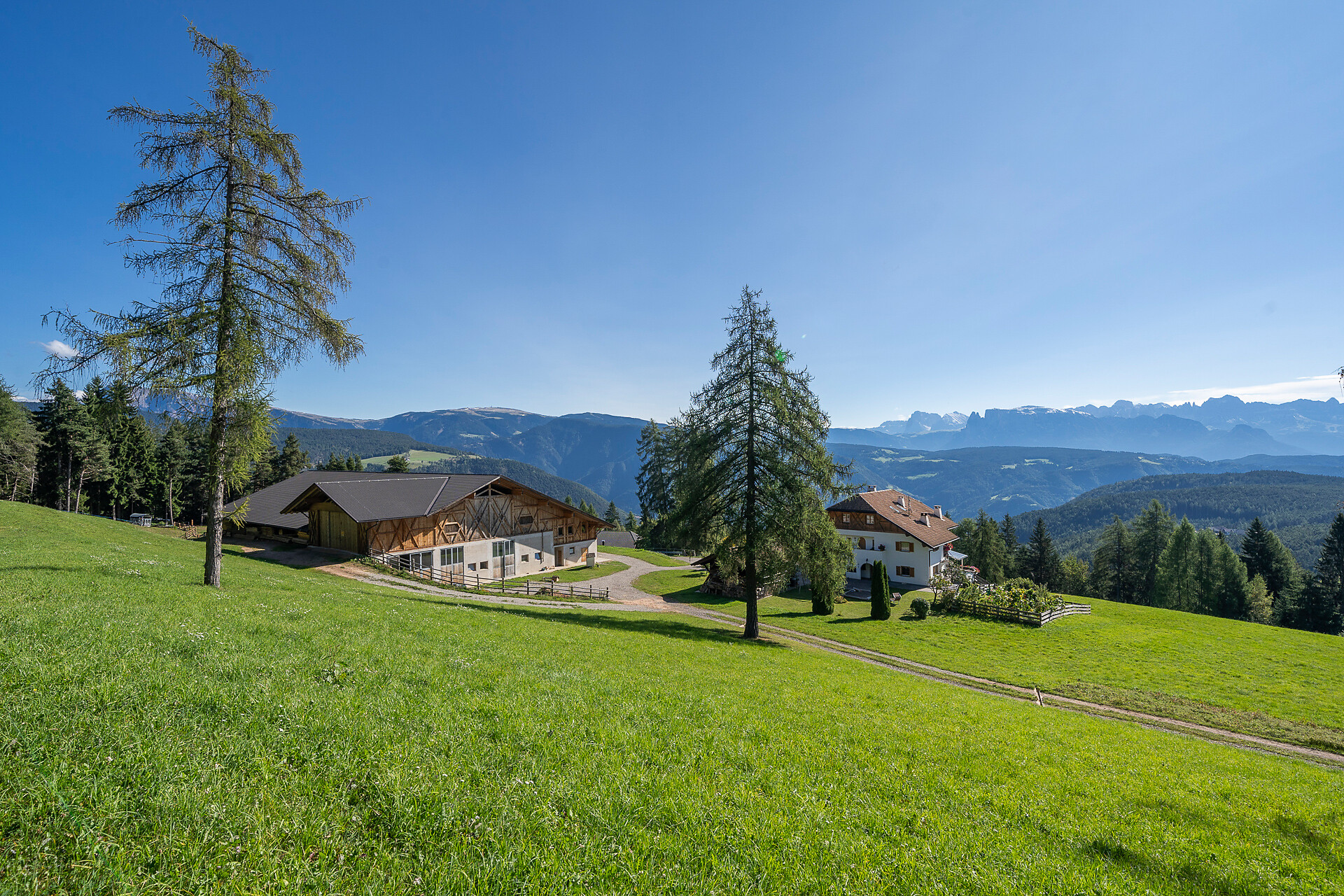 unser Hof inmitten der Natur mit Dolomitenblick
