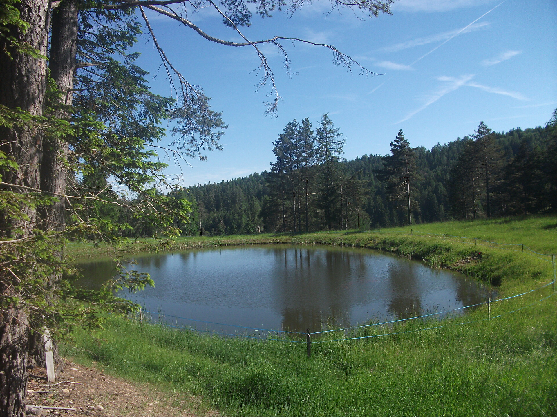 unser Teich