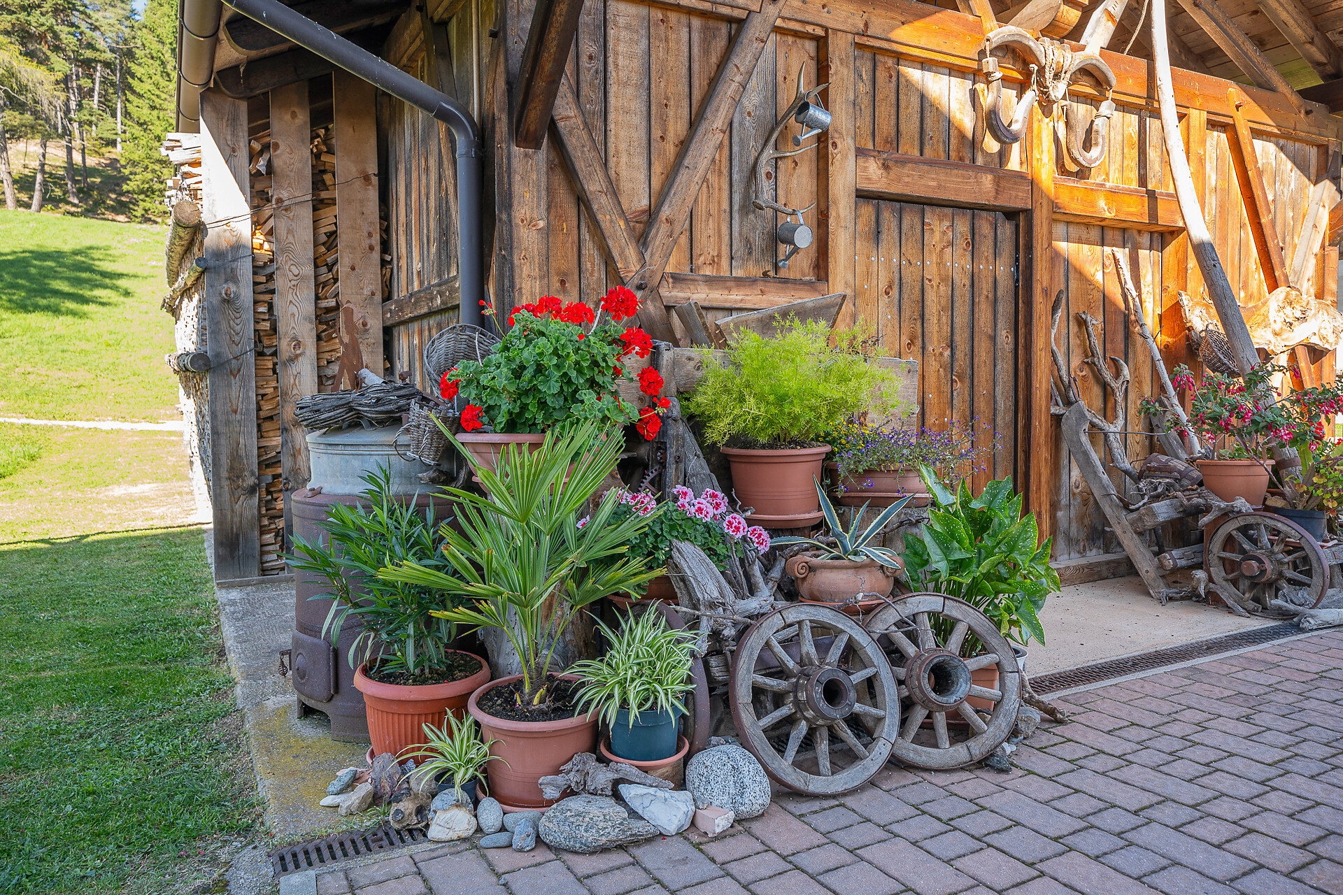 Blumen und altes Gerät vor unserem Holzschuppen