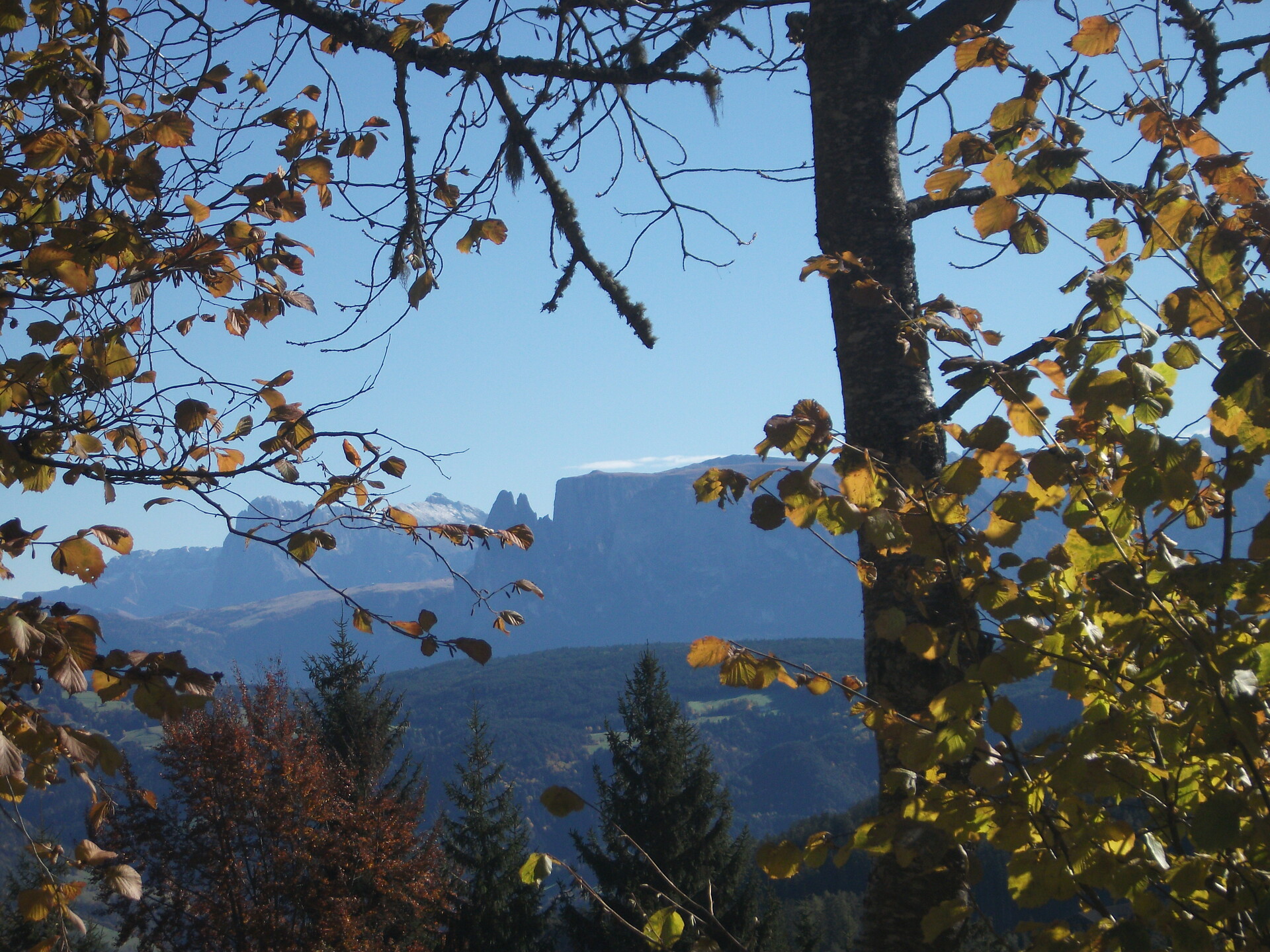 Herbststimmung mit Blick auf Schlern