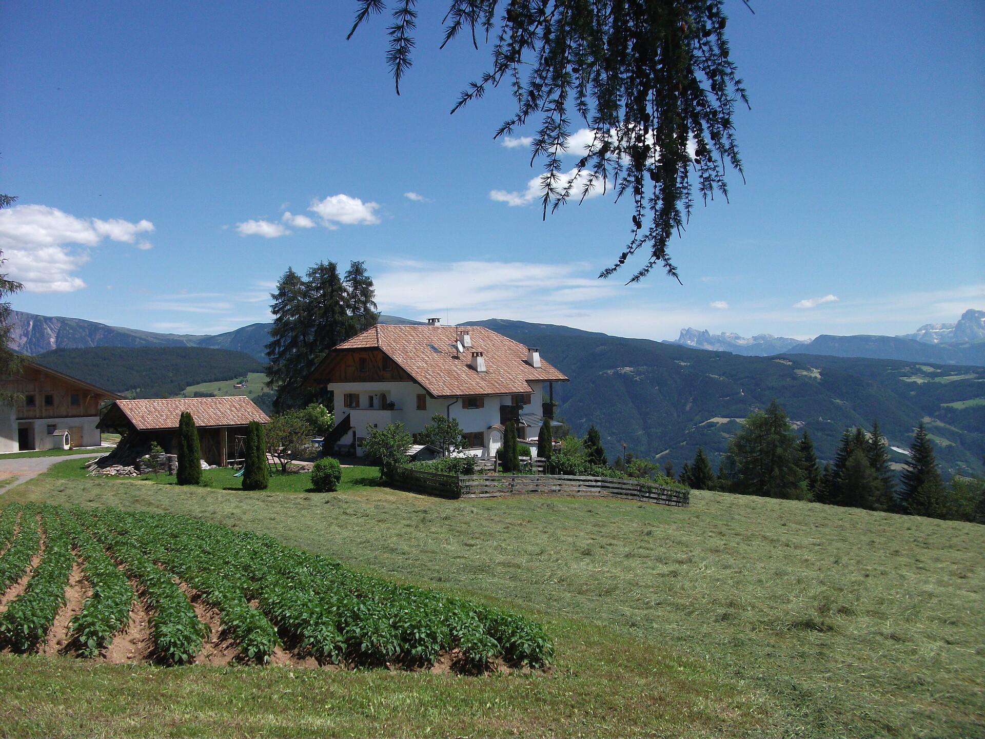 Sommer am Stücklhof