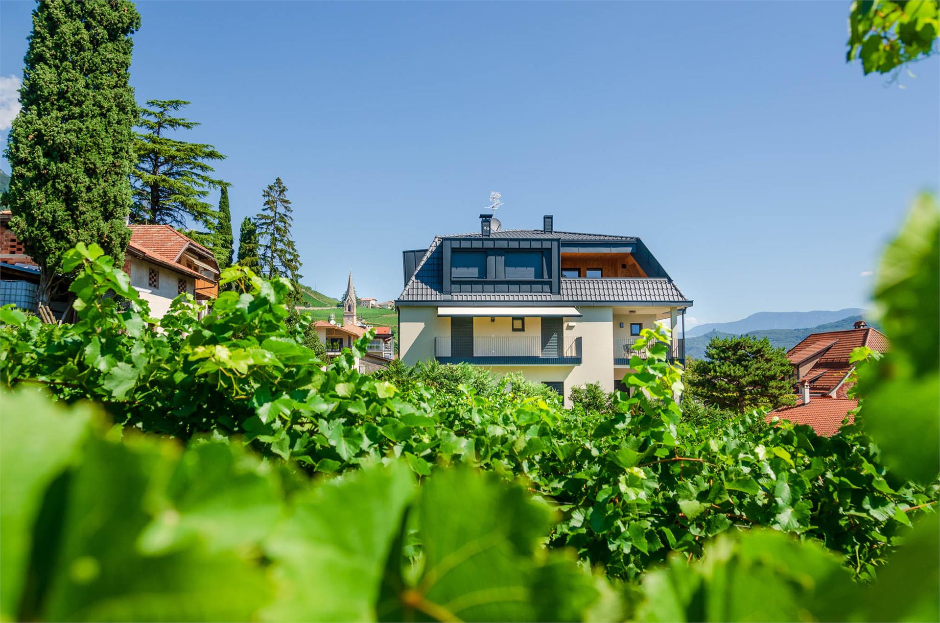Stürz Ferienwohnungen Tramin an der Weinstraße 7 suedtirol.info