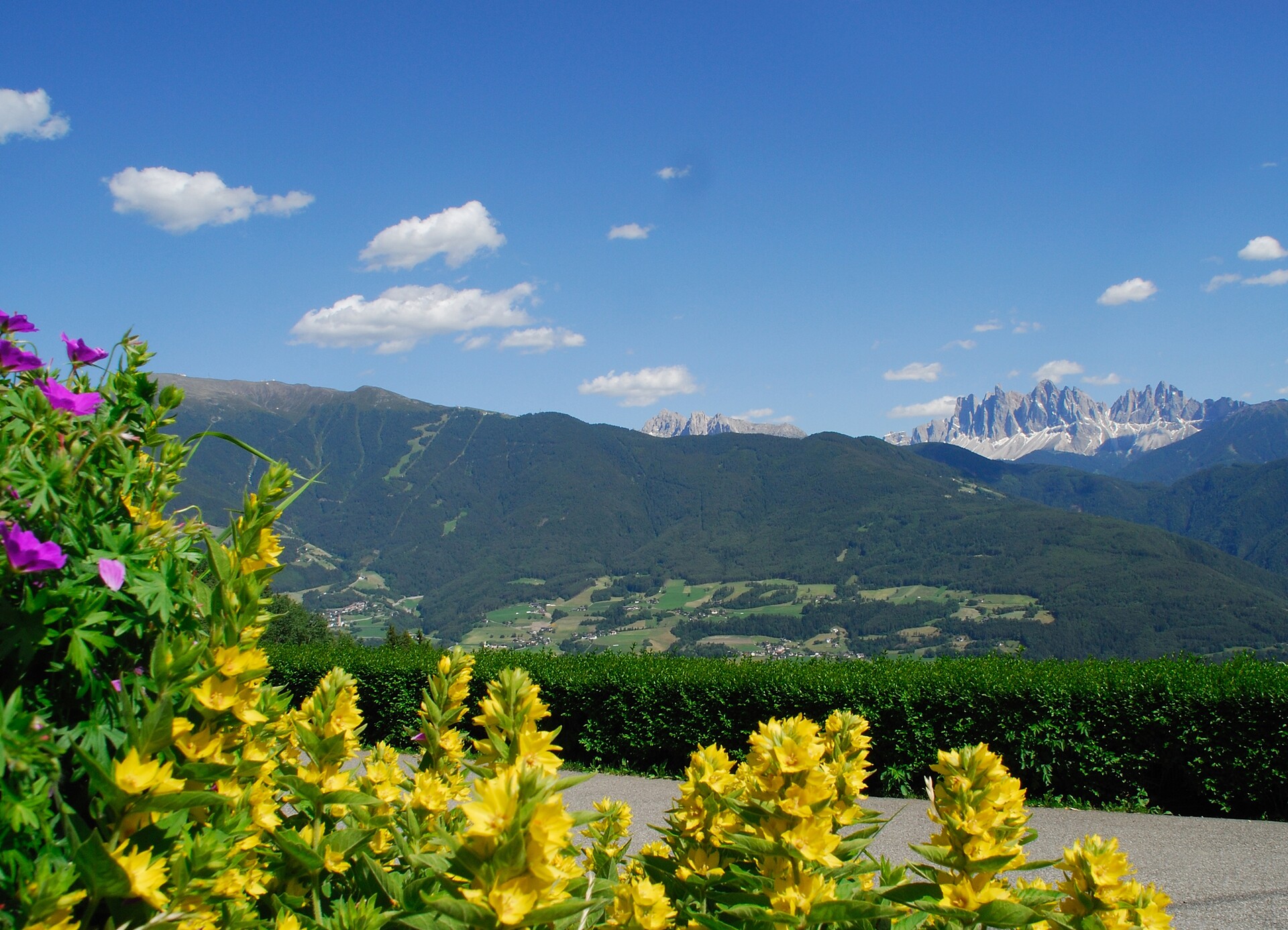vista