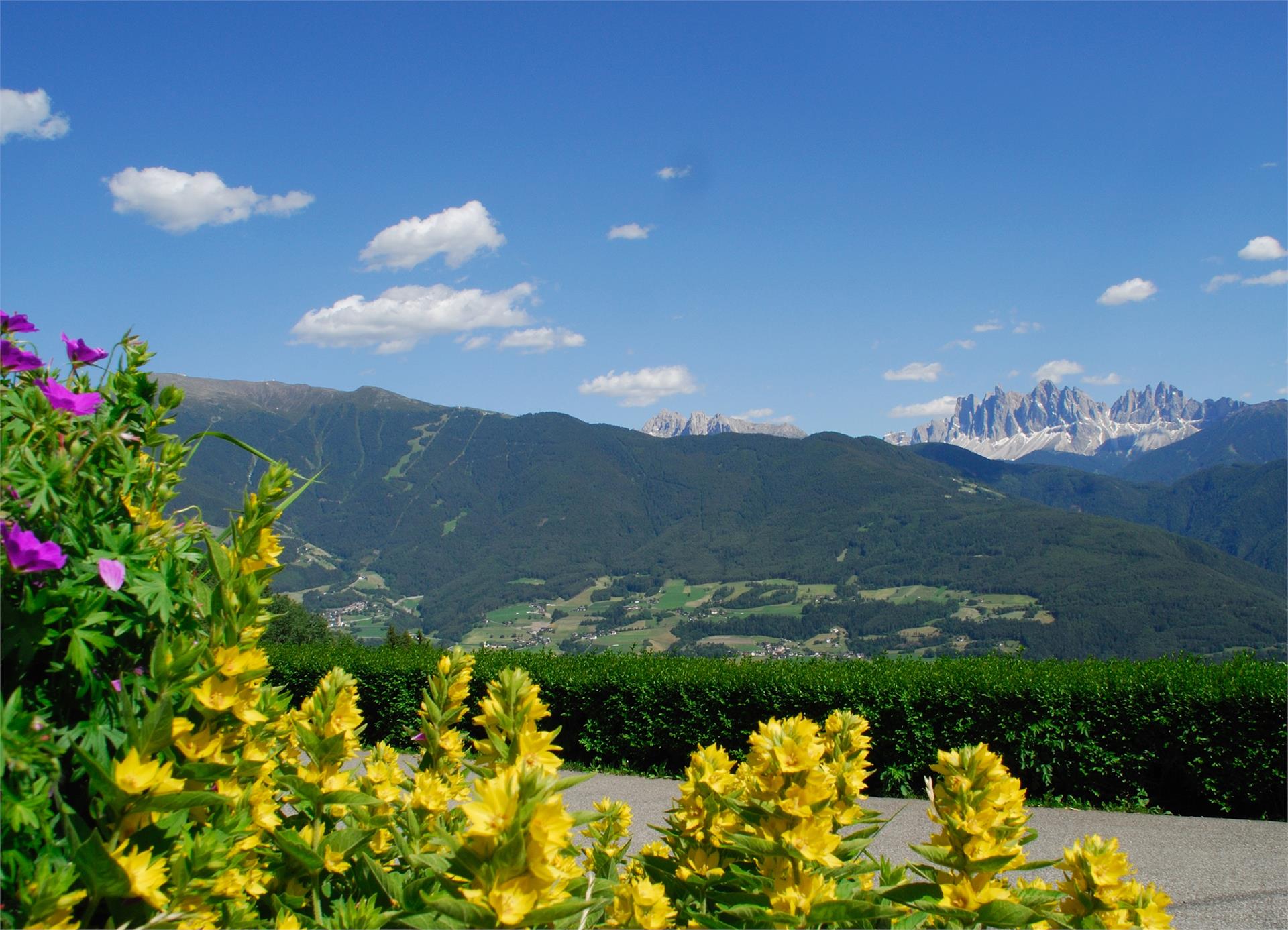 Stocknerhof Brixen/Bressanone 4 suedtirol.info