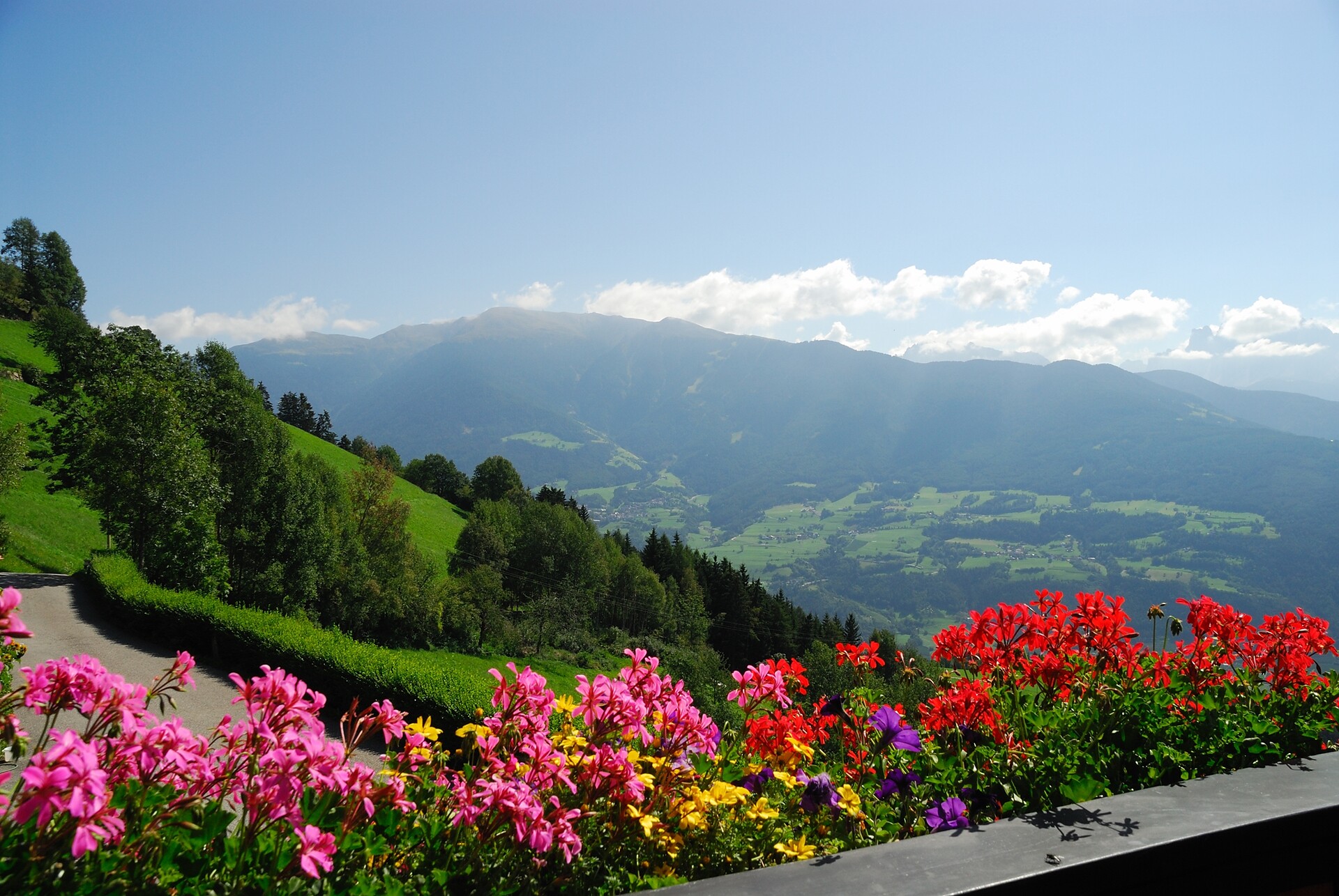 vista
