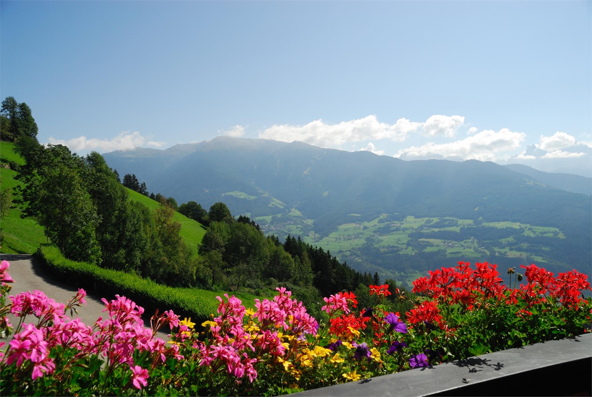 Stocknerhof Brixen/Bressanone 2 suedtirol.info