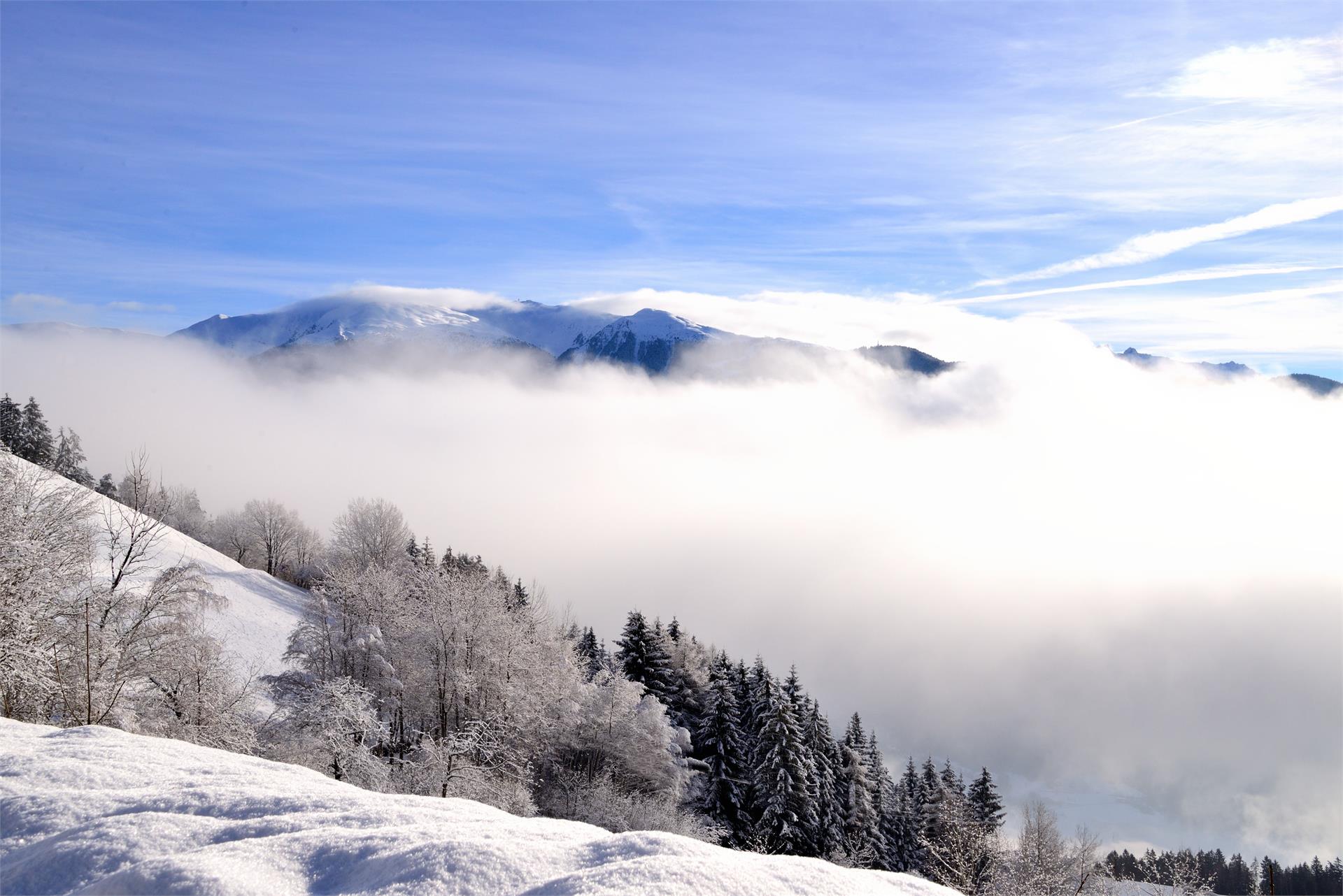 Stocknerhof Brixen/Bressanone 5 suedtirol.info