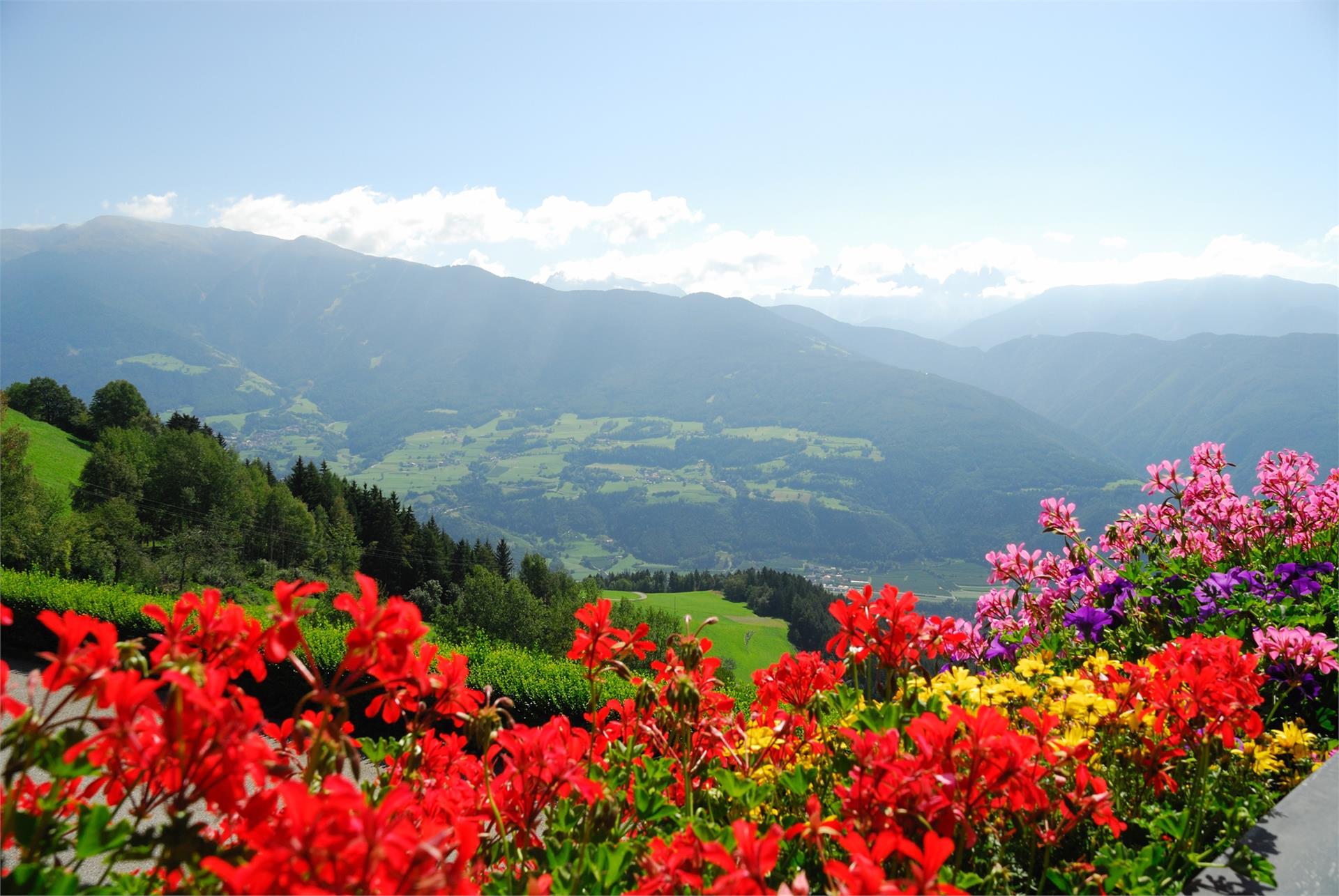 Stocknerhof Brixen/Bressanone 3 suedtirol.info
