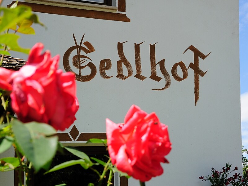 Maso Sedlhof
