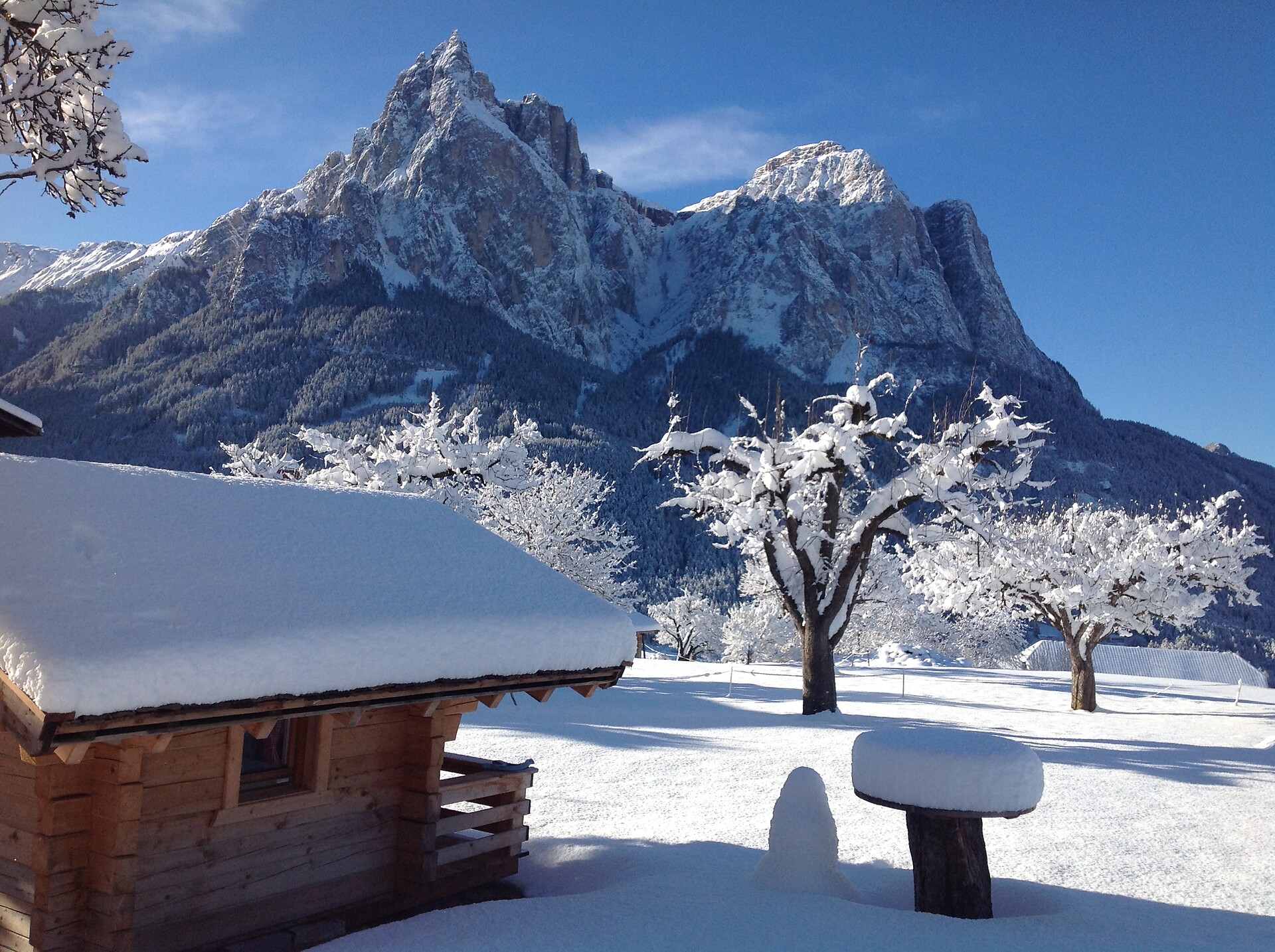 Winter am Singerhof