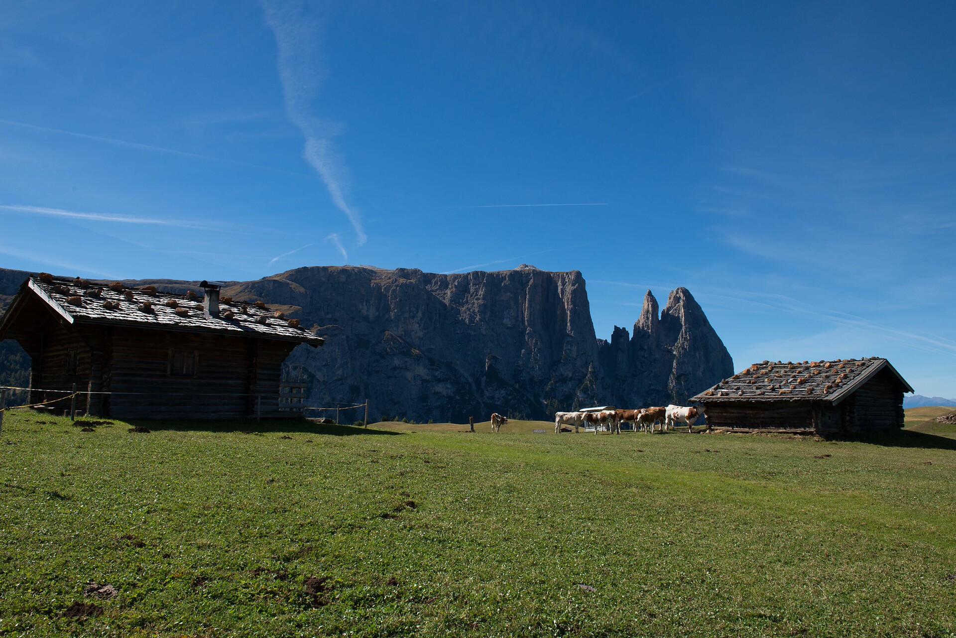 Seiseralm