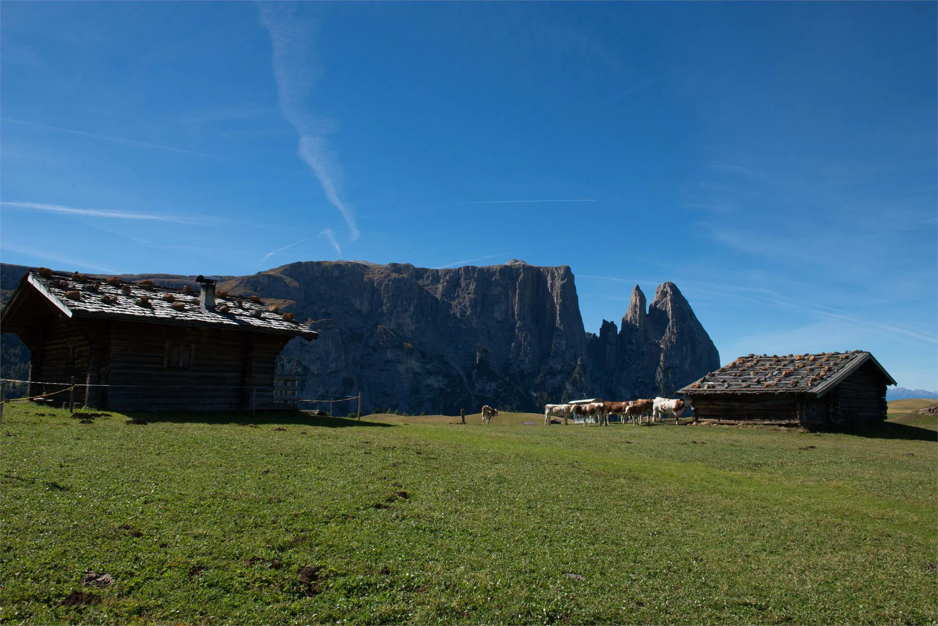 Singerhof Kastelruth/Castelrotto 28 suedtirol.info