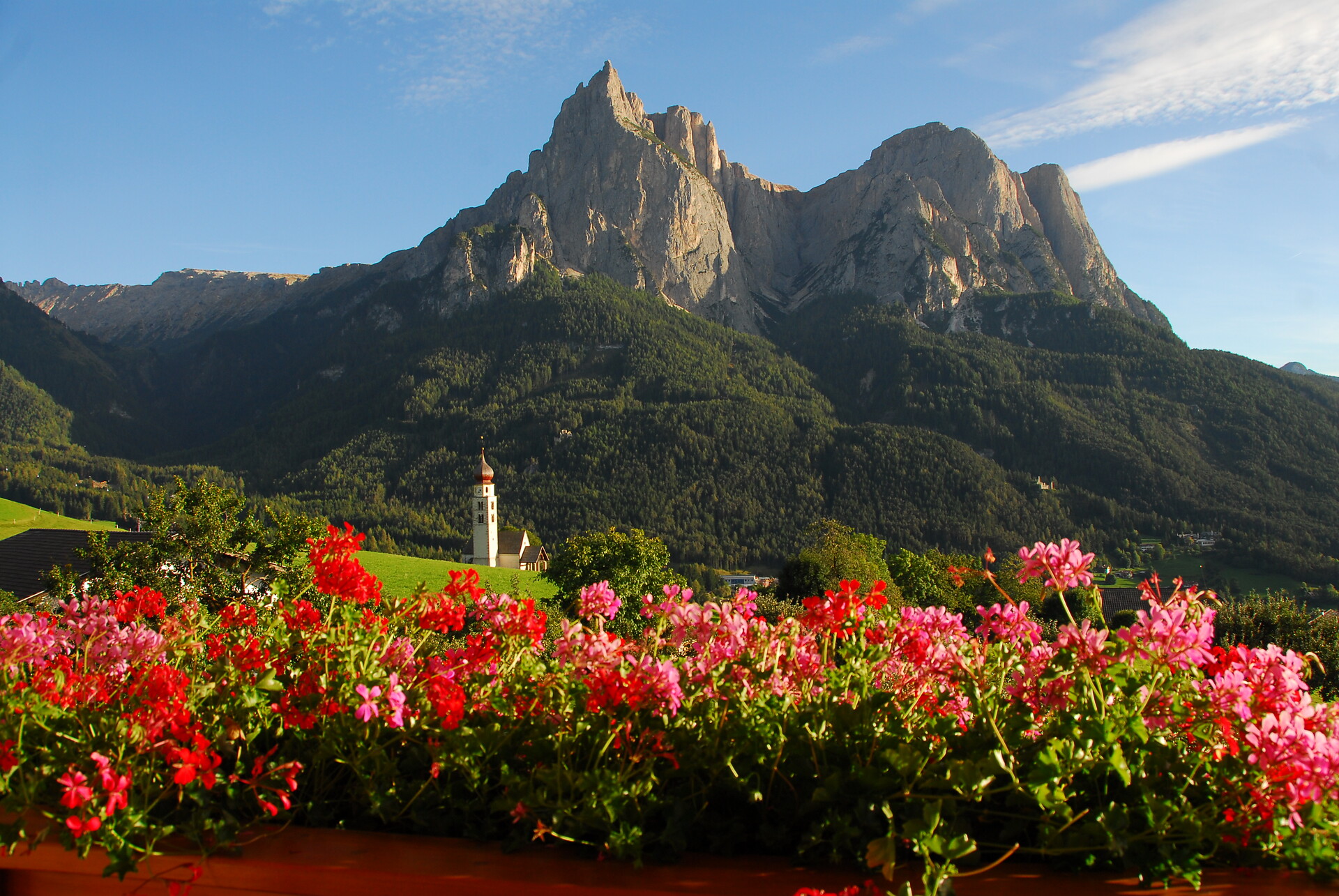 Aussicht Südterrasse Veilchen