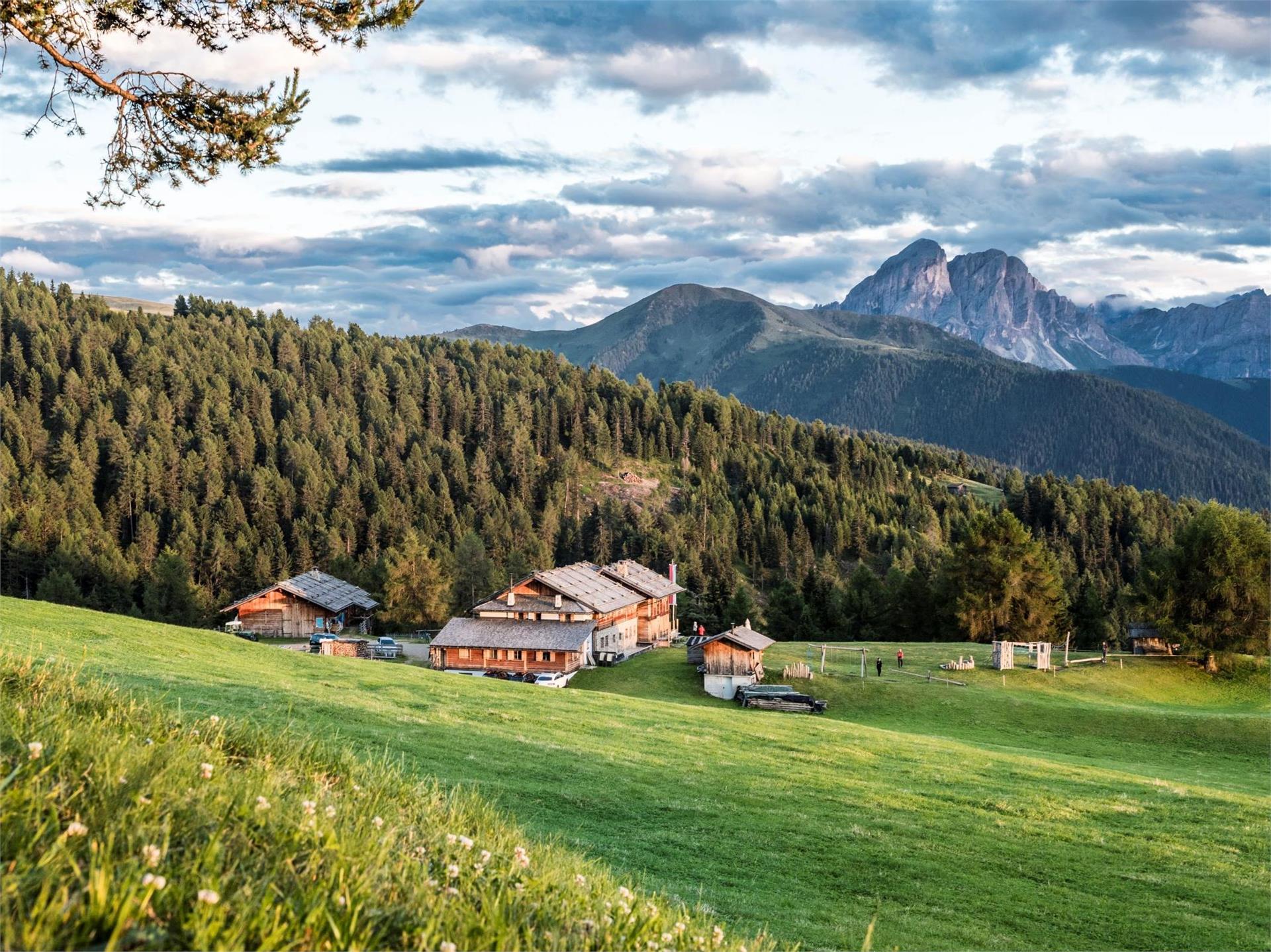 Schutzhütte Kreuzwiesenalm Lüsen/Luson 1 suedtirol.info