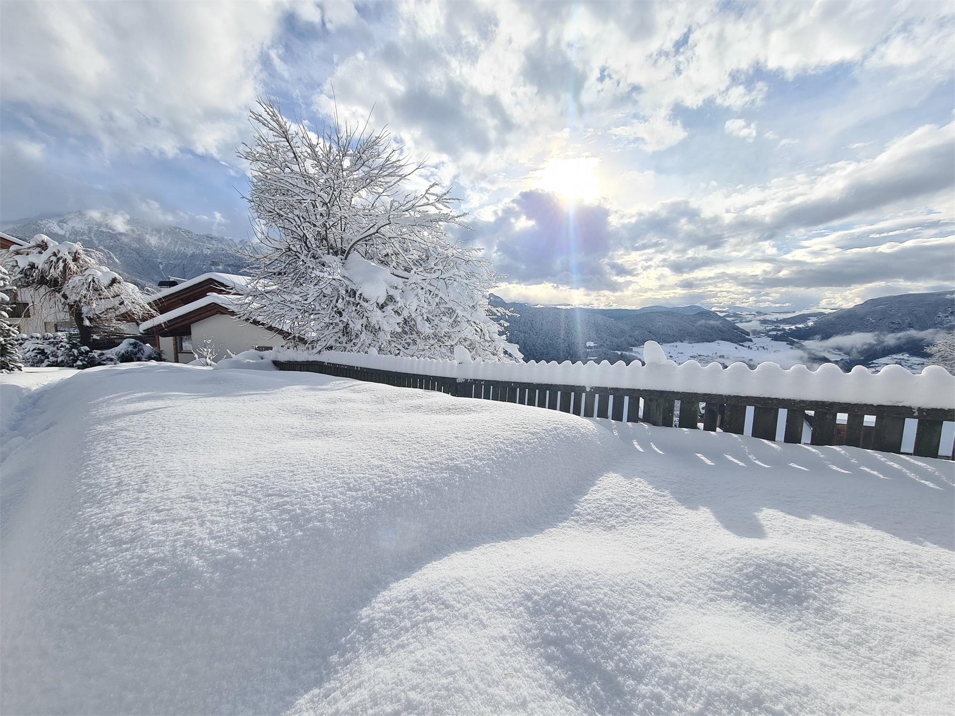 Sassun Lajen/Laion 28 suedtirol.info