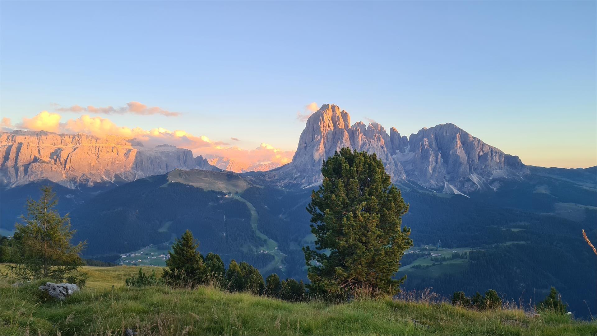 Sassun Lajen/Laion 15 suedtirol.info