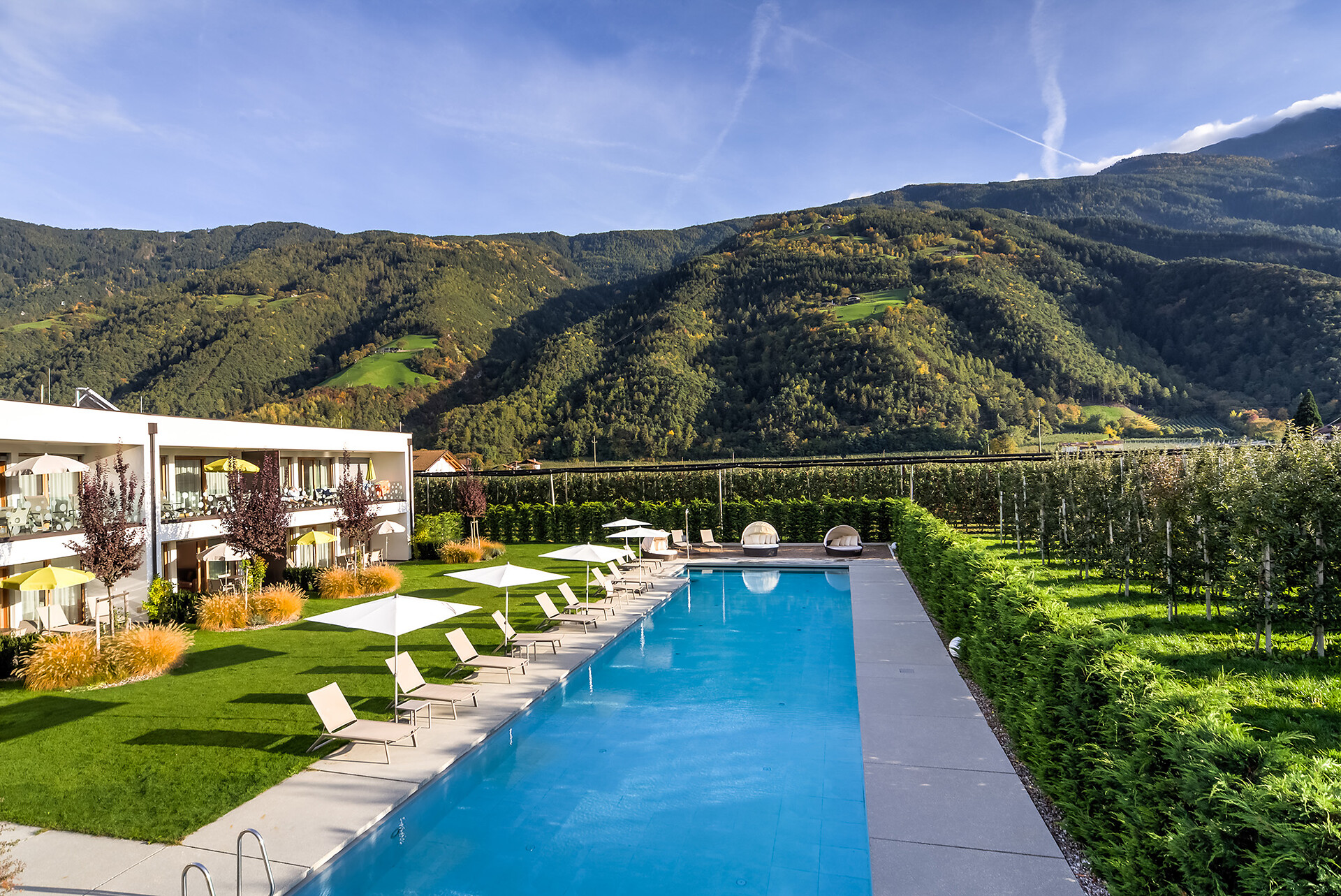piscina scoperta di 25m