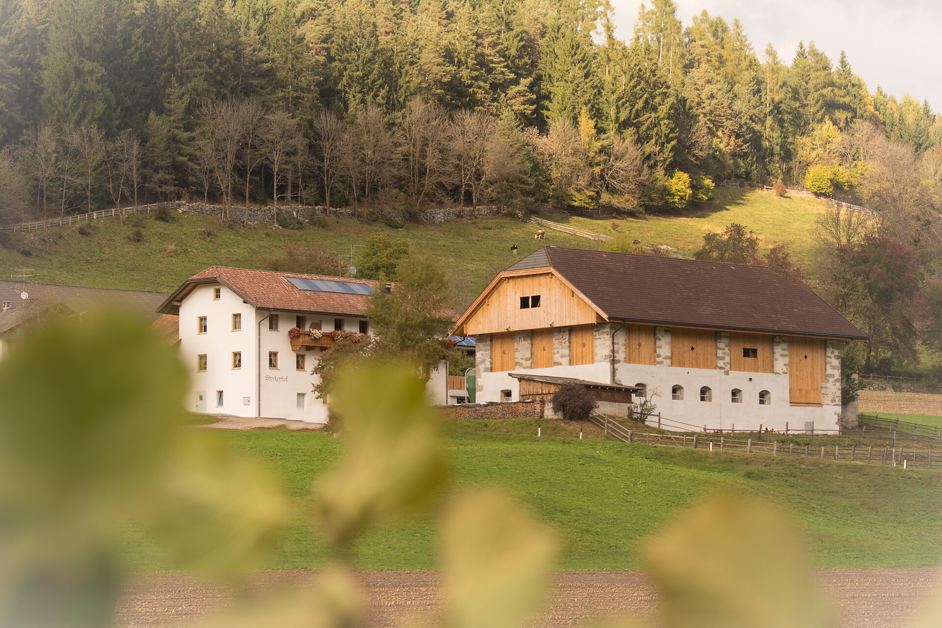 Stockerhof