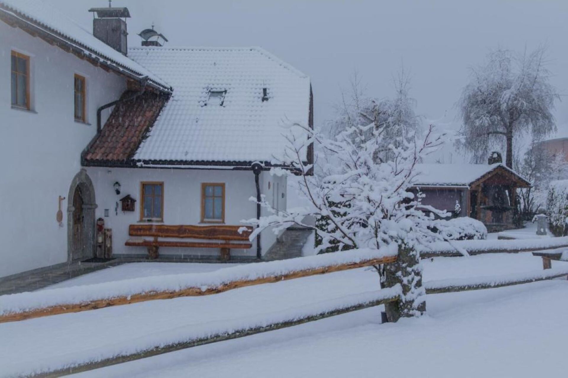 Winter