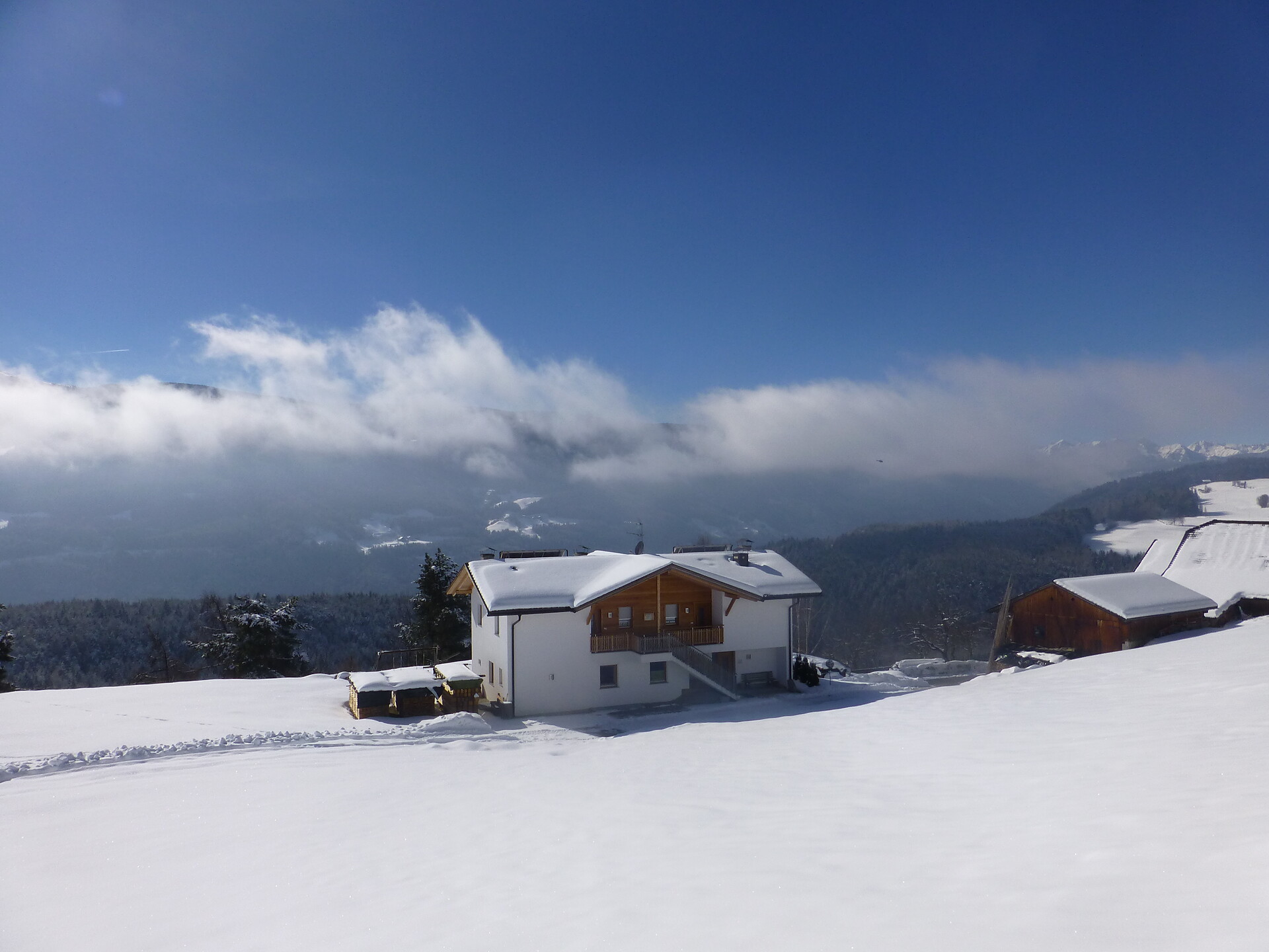 Ausblick