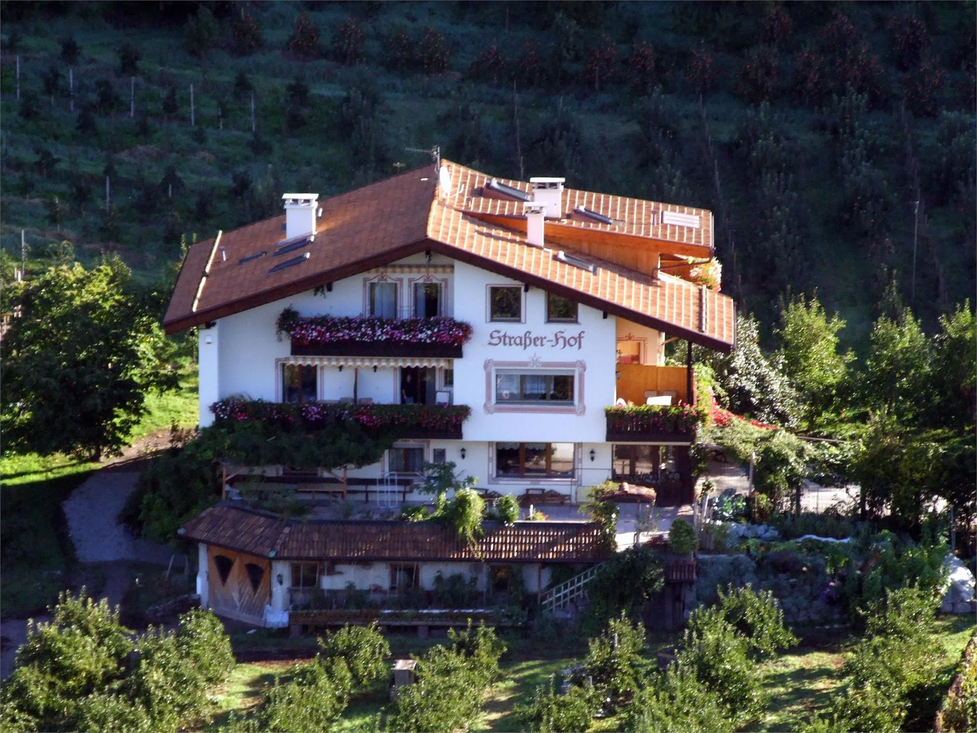 Maso Strasser Postal 1 suedtirol.info