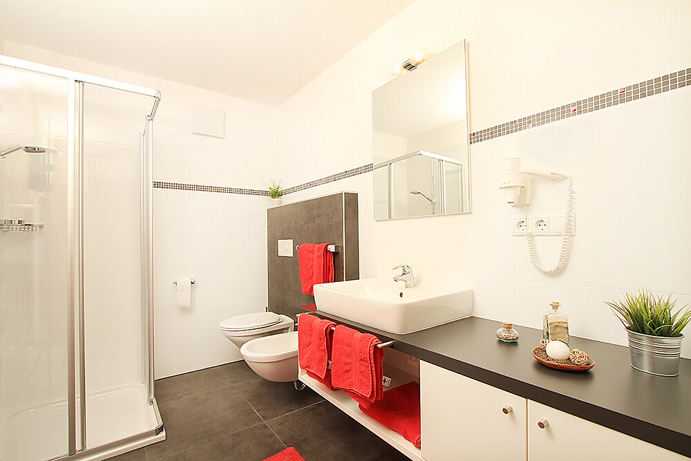 Sonnenschein Appartements Ahrntal 18 suedtirol.info