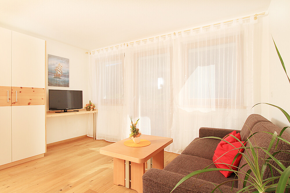Sonnenschein Appartements Ahrntal 15 suedtirol.info