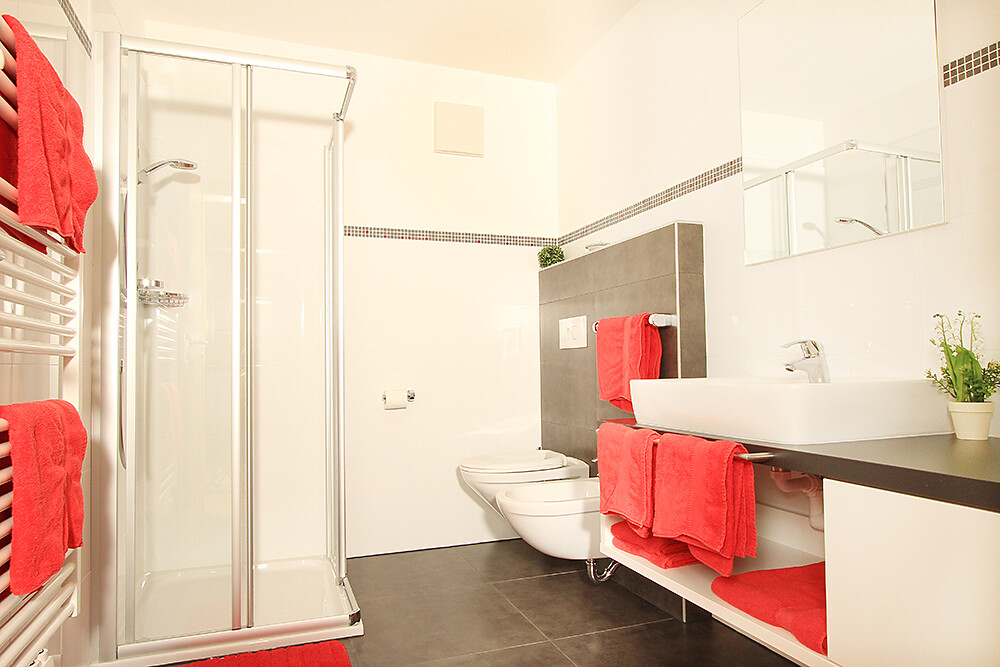 Sonnenschein Appartements Ahrntal 14 suedtirol.info