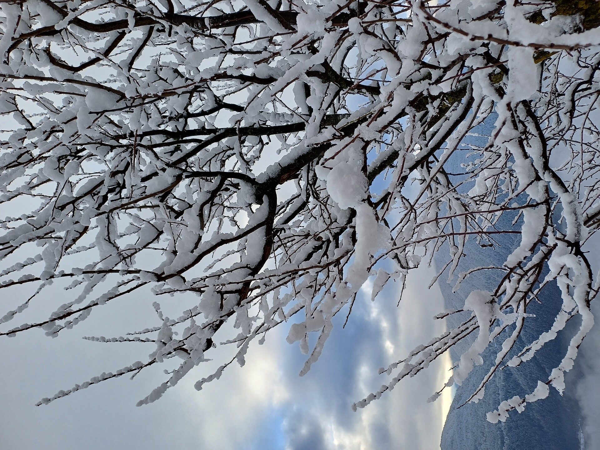 winter at the Stillehof