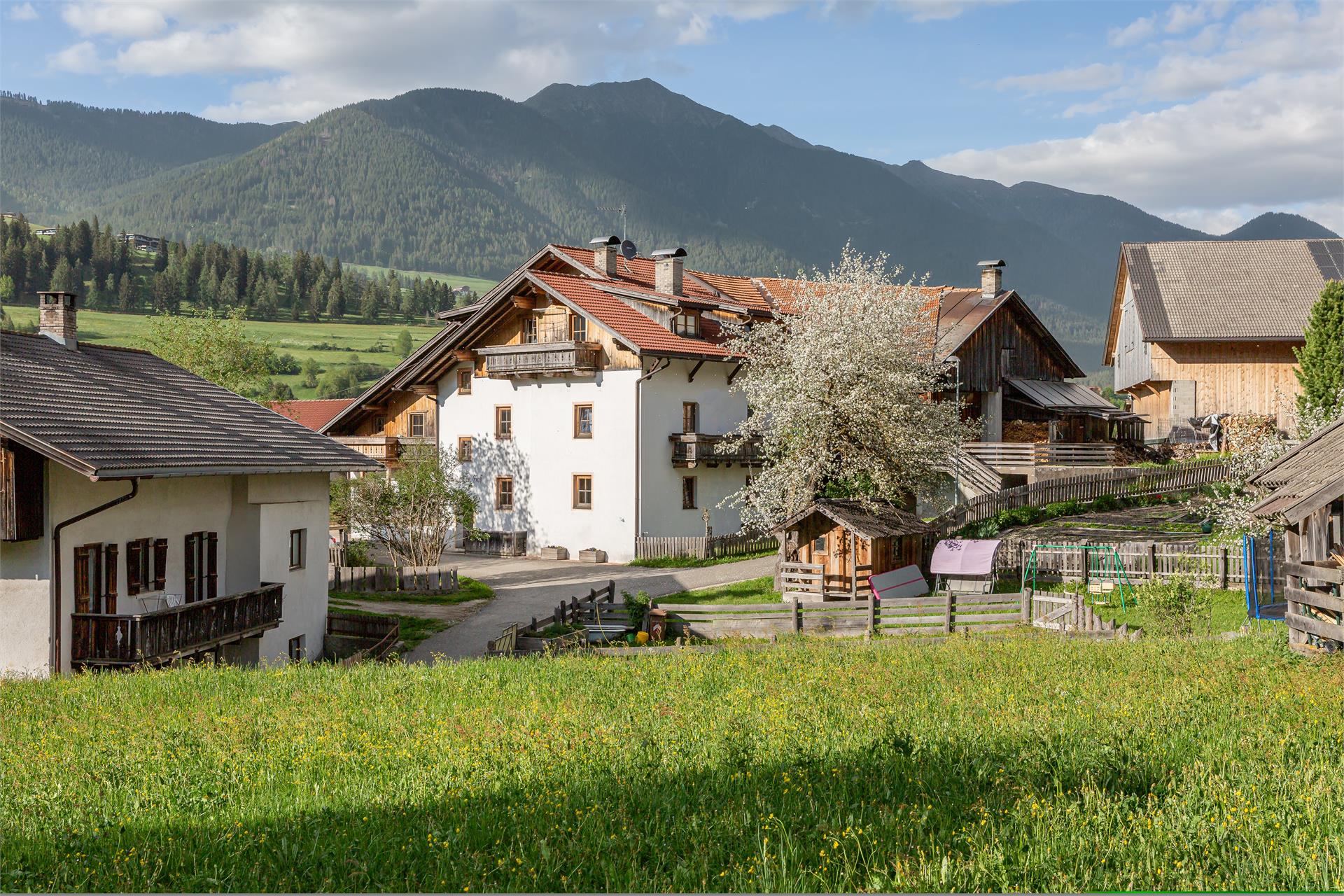 Schusterhof Welsberg-Taisten 24 suedtirol.info