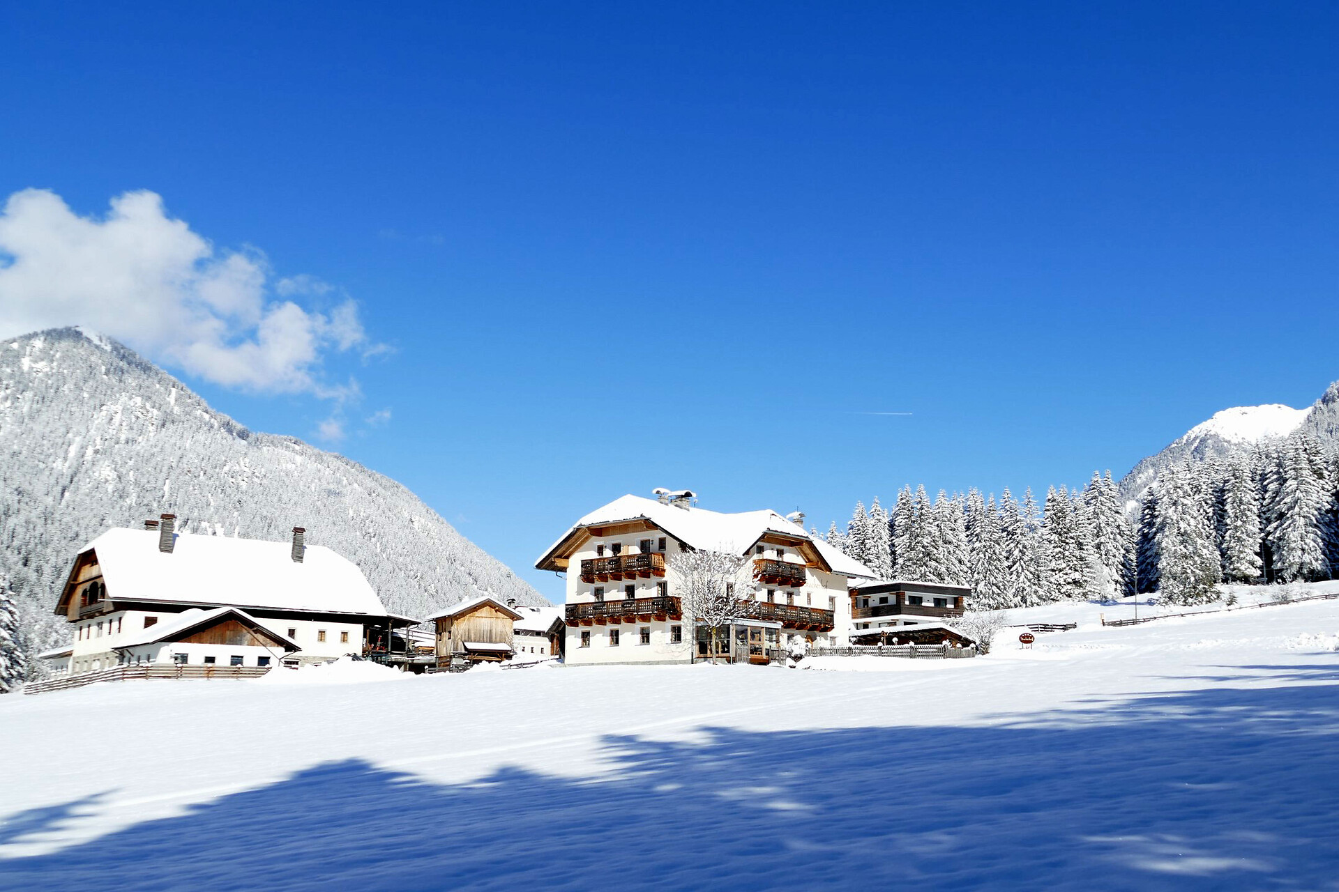 Stacherhof