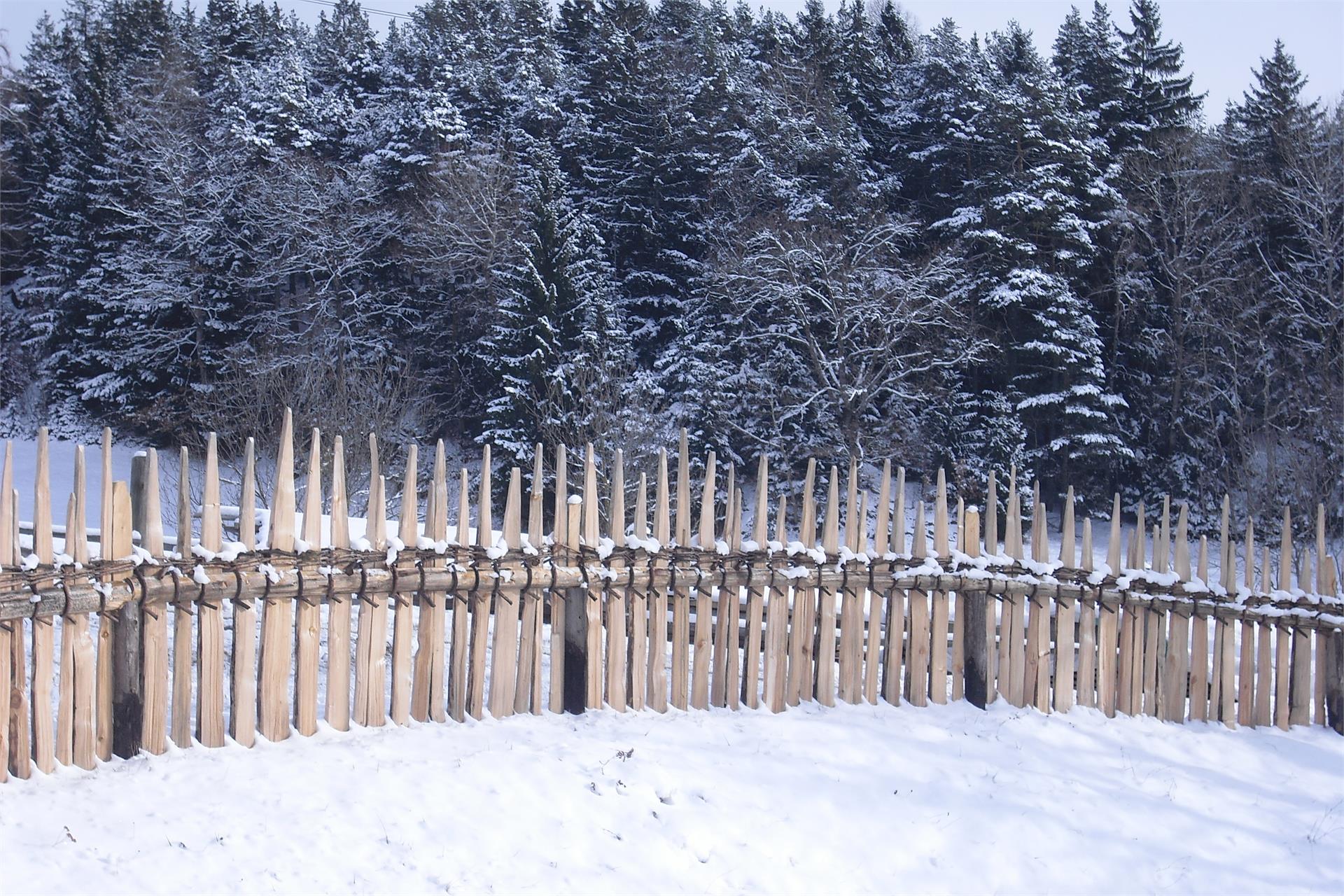 Steierhof Feldthurns/Velturno 19 suedtirol.info