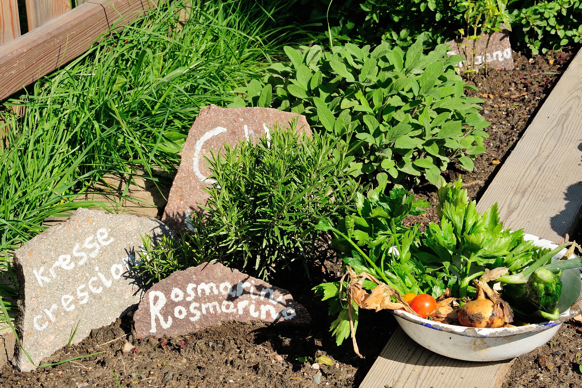 Gemüsegarten
