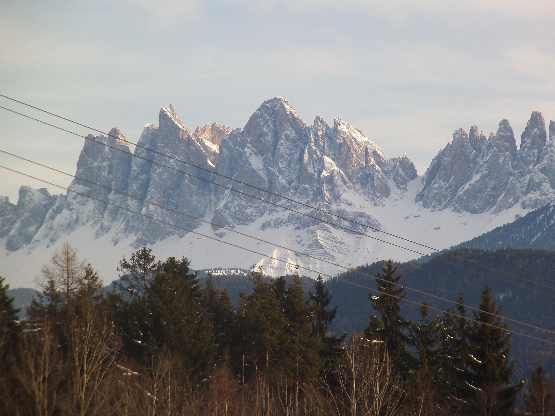 Geislerblick