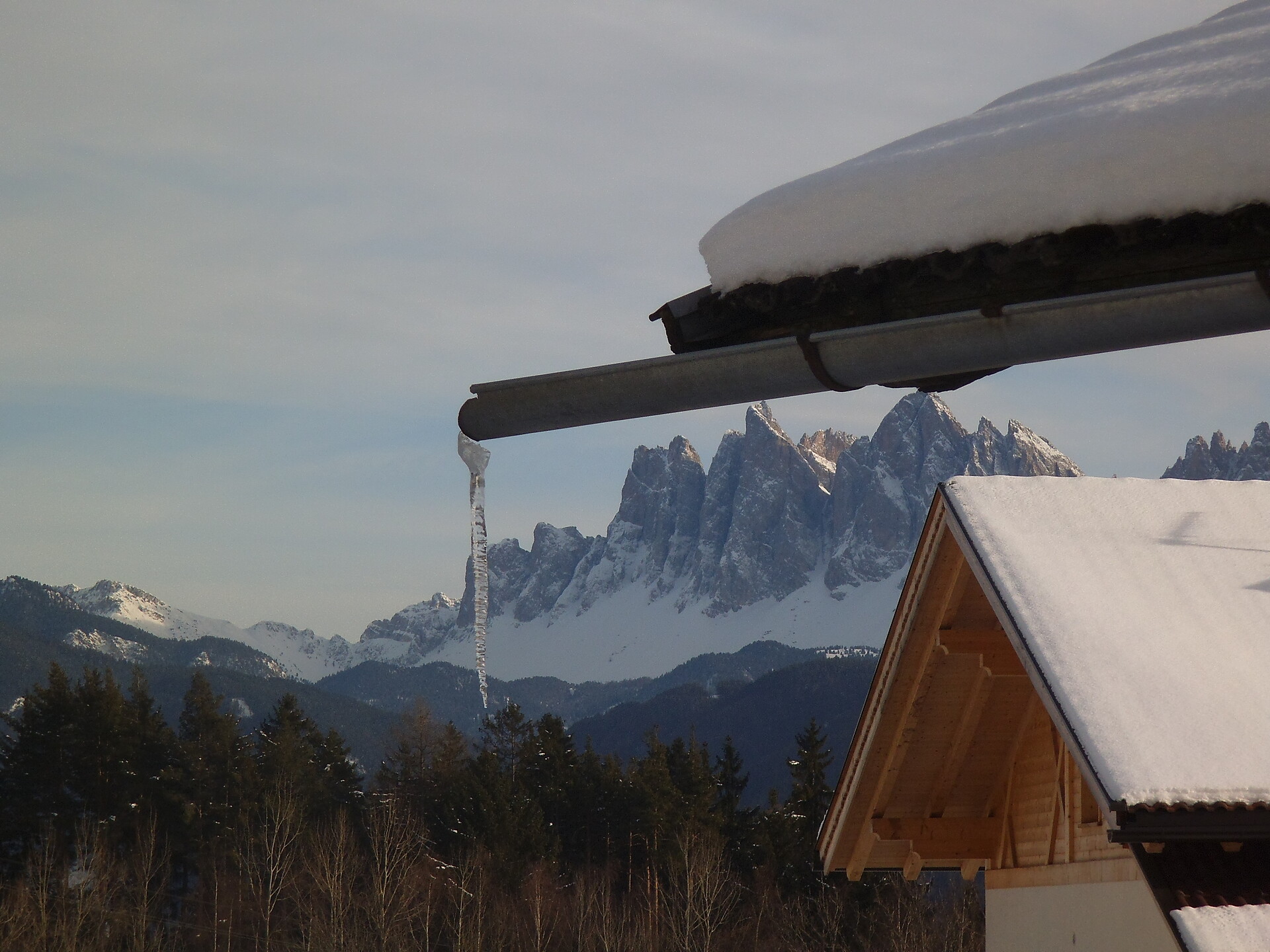 Geislerblick