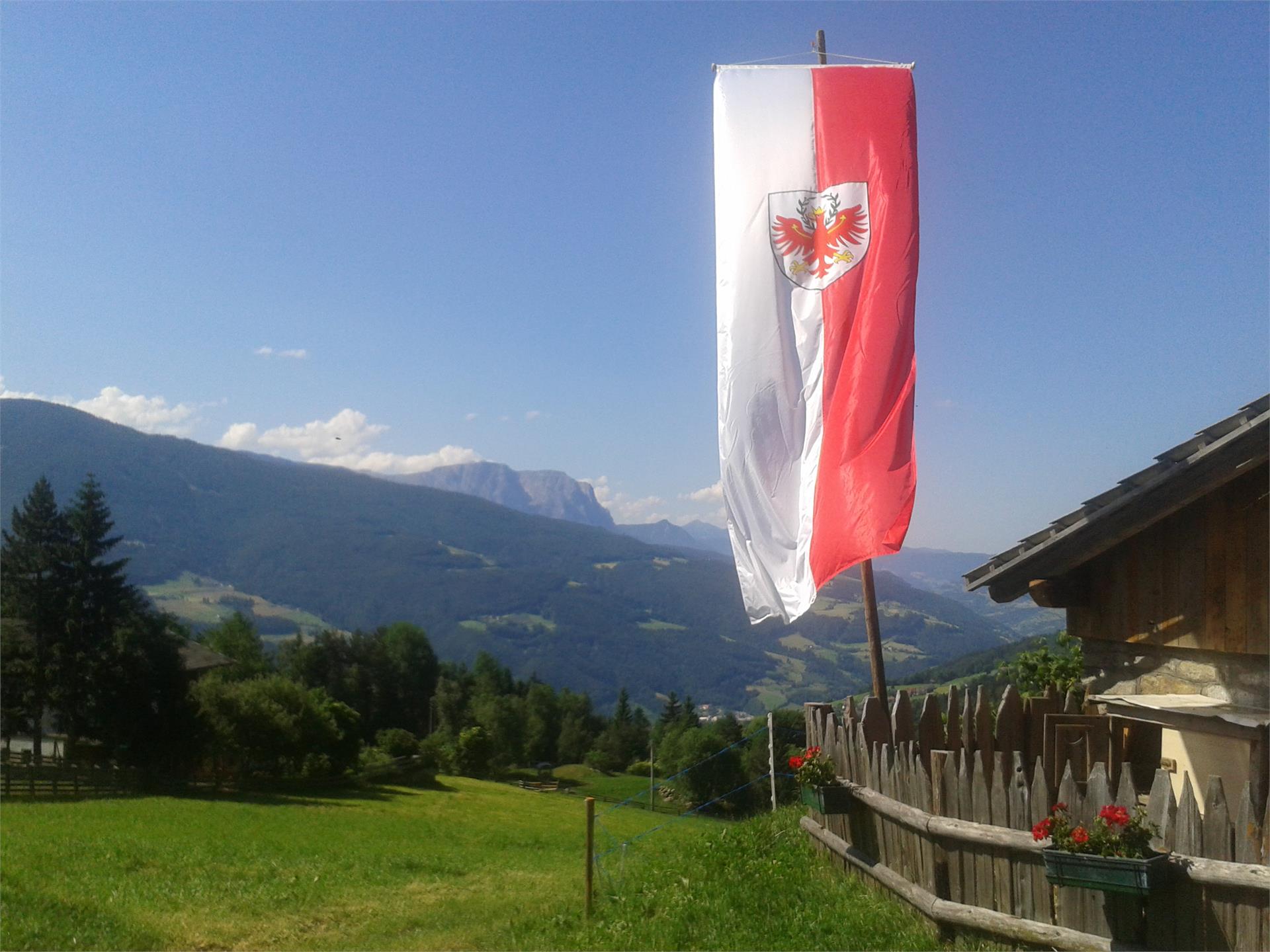 Steierhof Feldthurns/Velturno 16 suedtirol.info