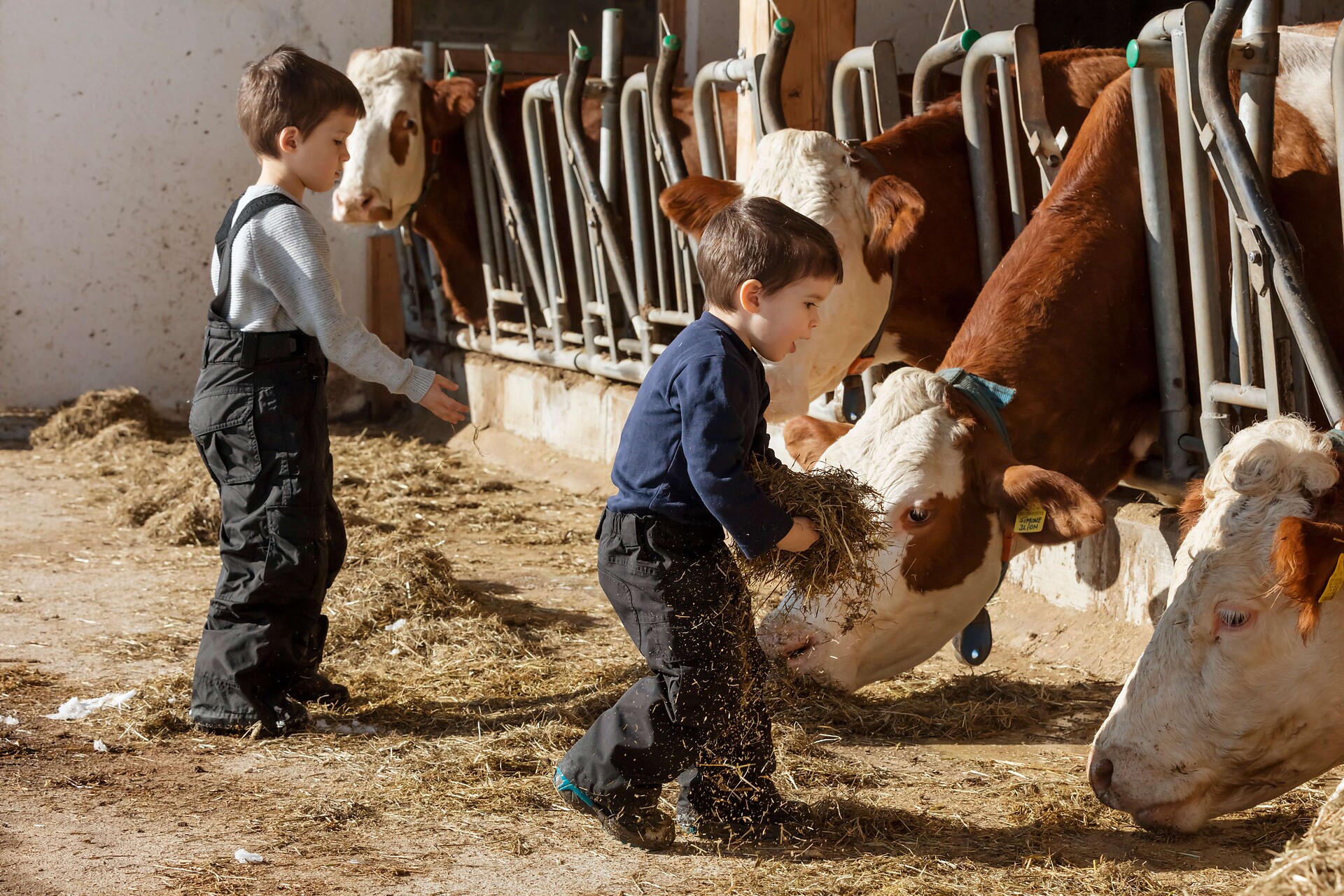 Kinderglück am Bauernhof