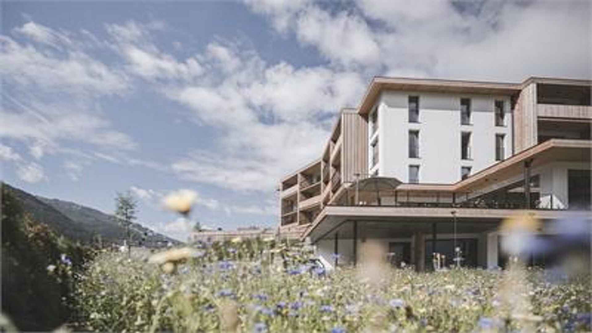 Residence STOANA