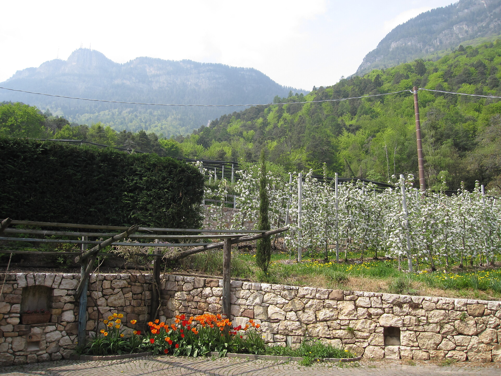 Ausblick Innenhof