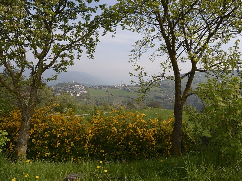 Blick nach Völs