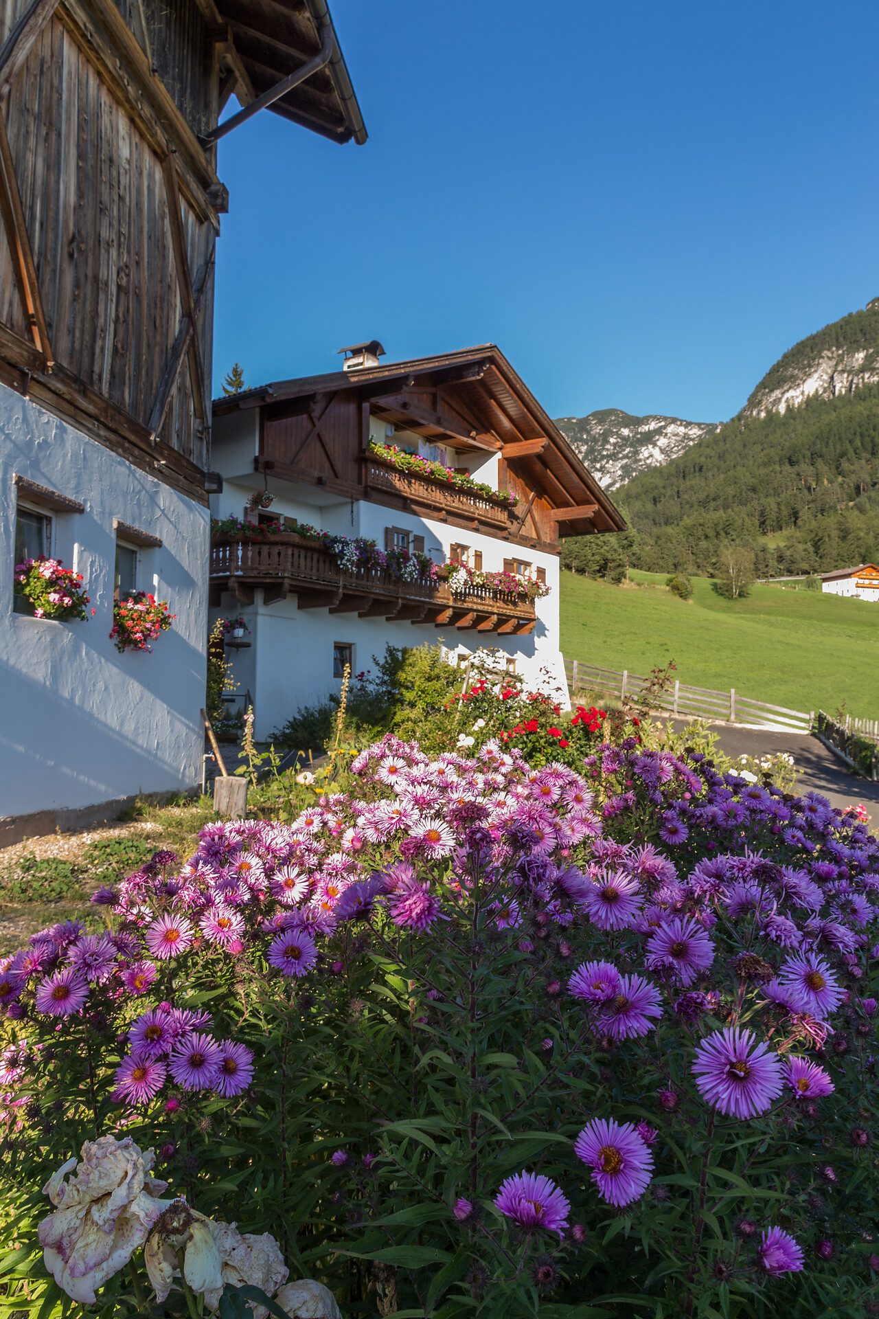 Stampferhof