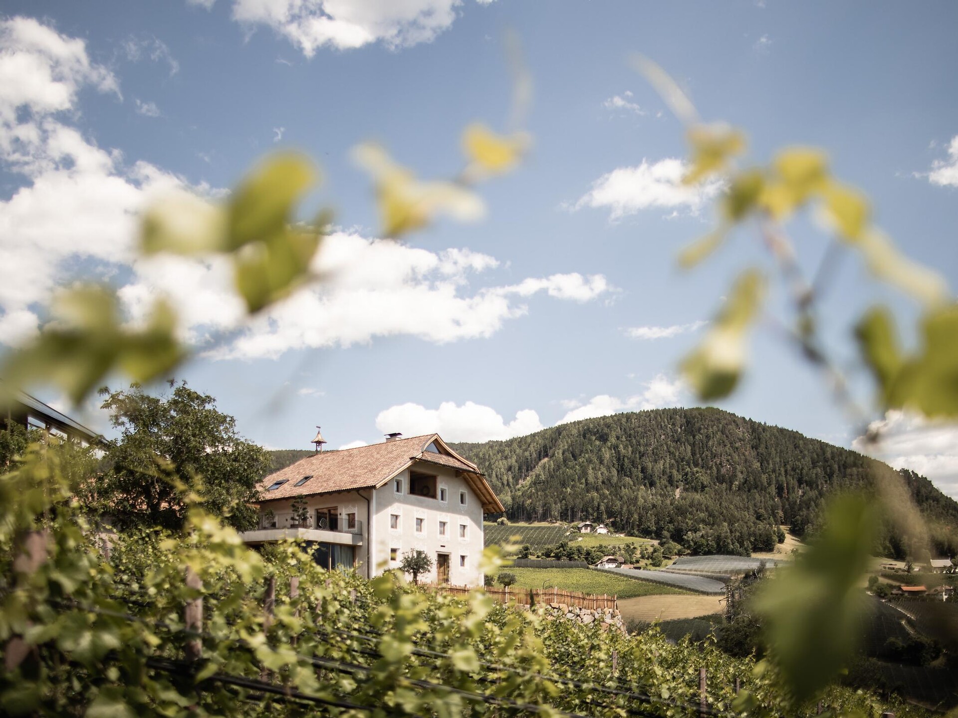Spornberg Soprabolzano Renon