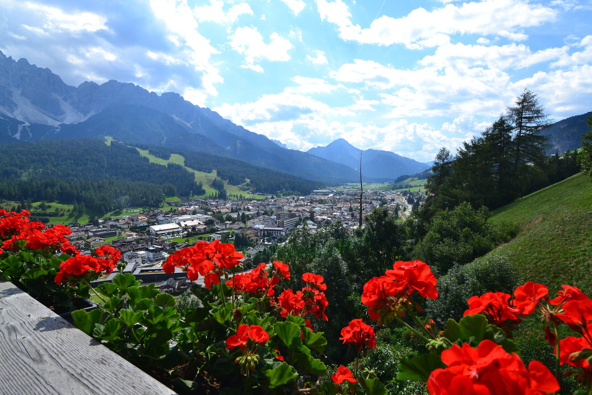 Panorama