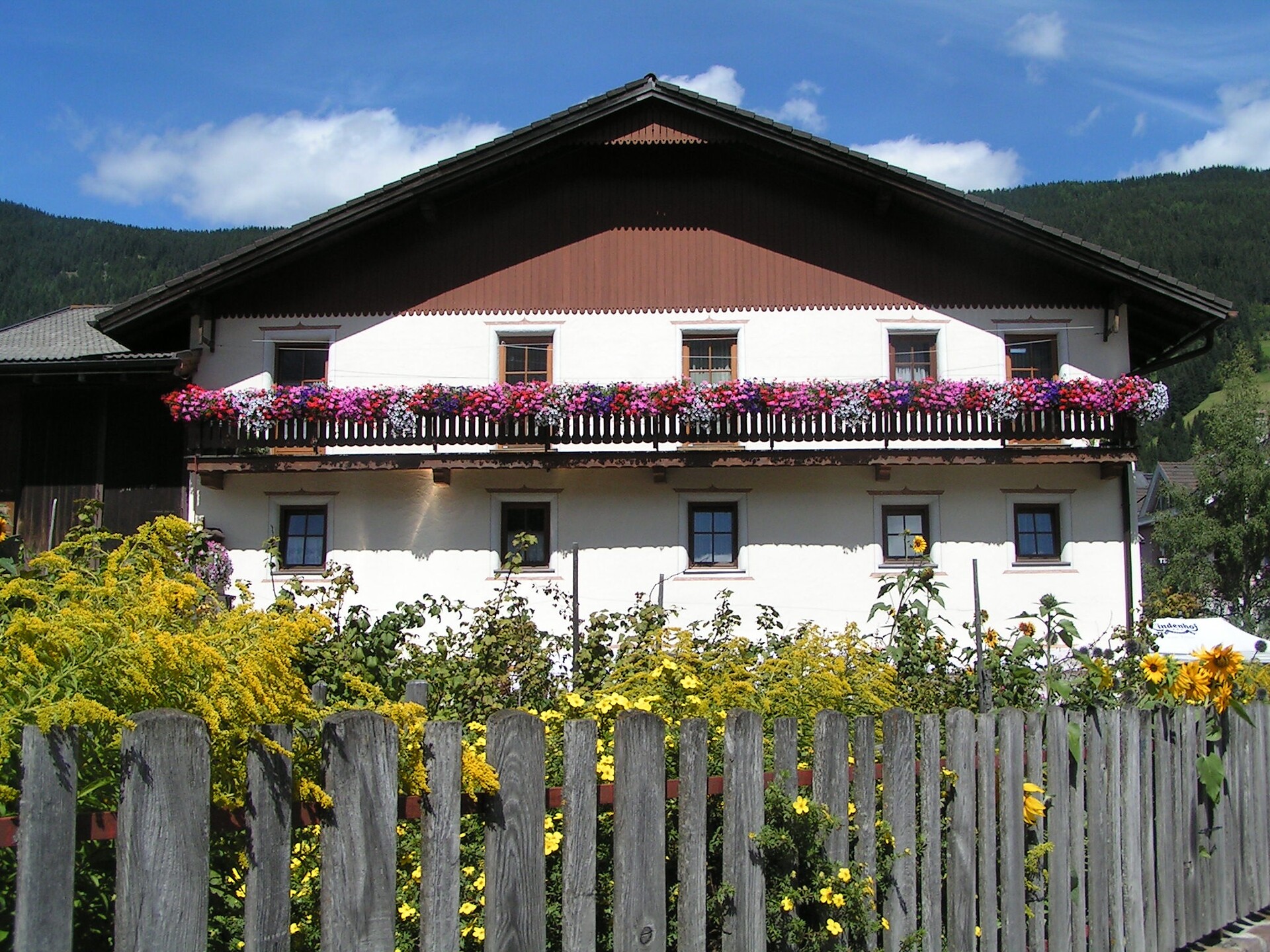 Schopfer