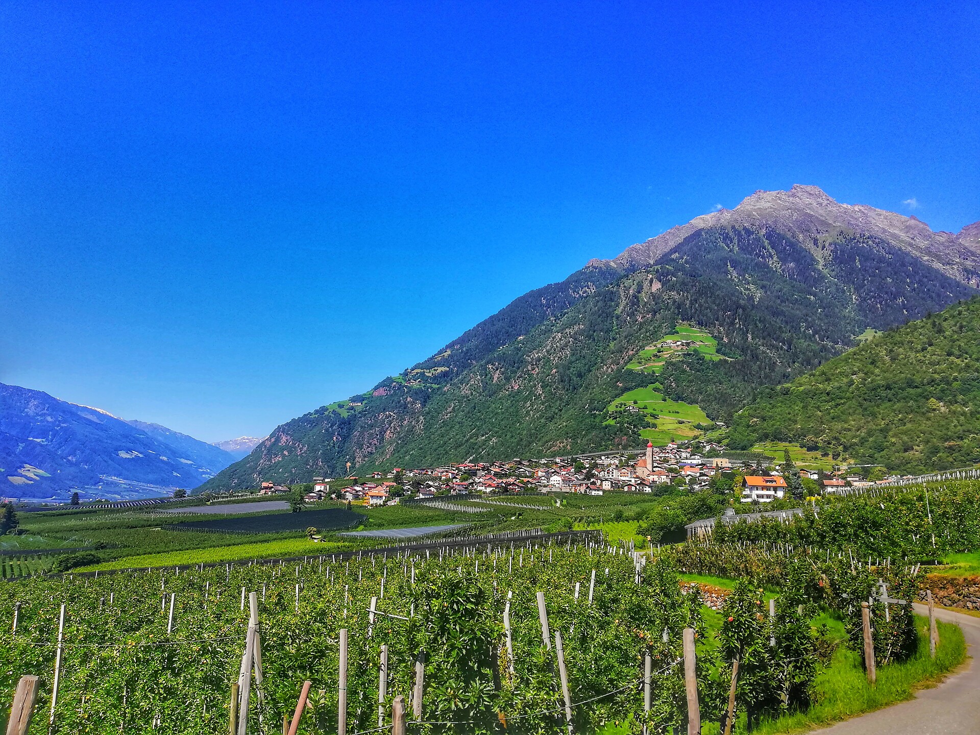 Vista in direzione ovest verso Parcines