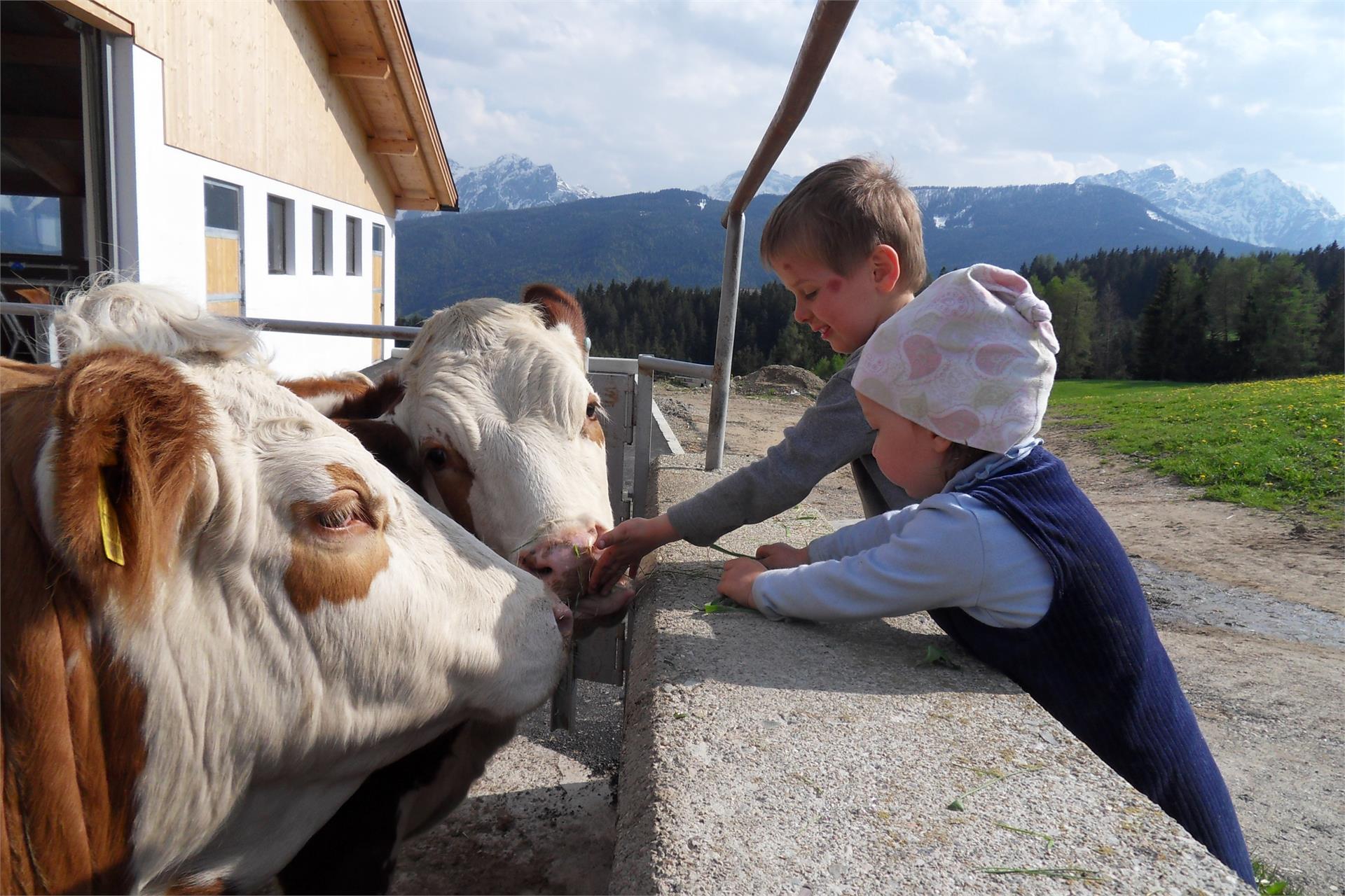Schmözlhof Welsberg-Taisten 9 suedtirol.info